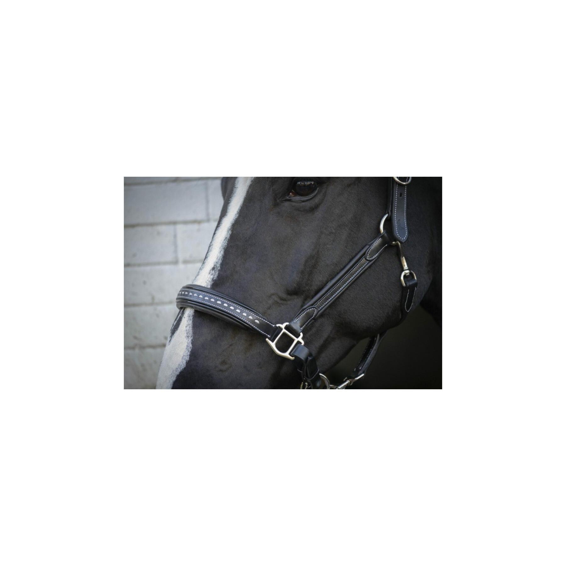 Leather halter for horse Pénélope Point Sellier