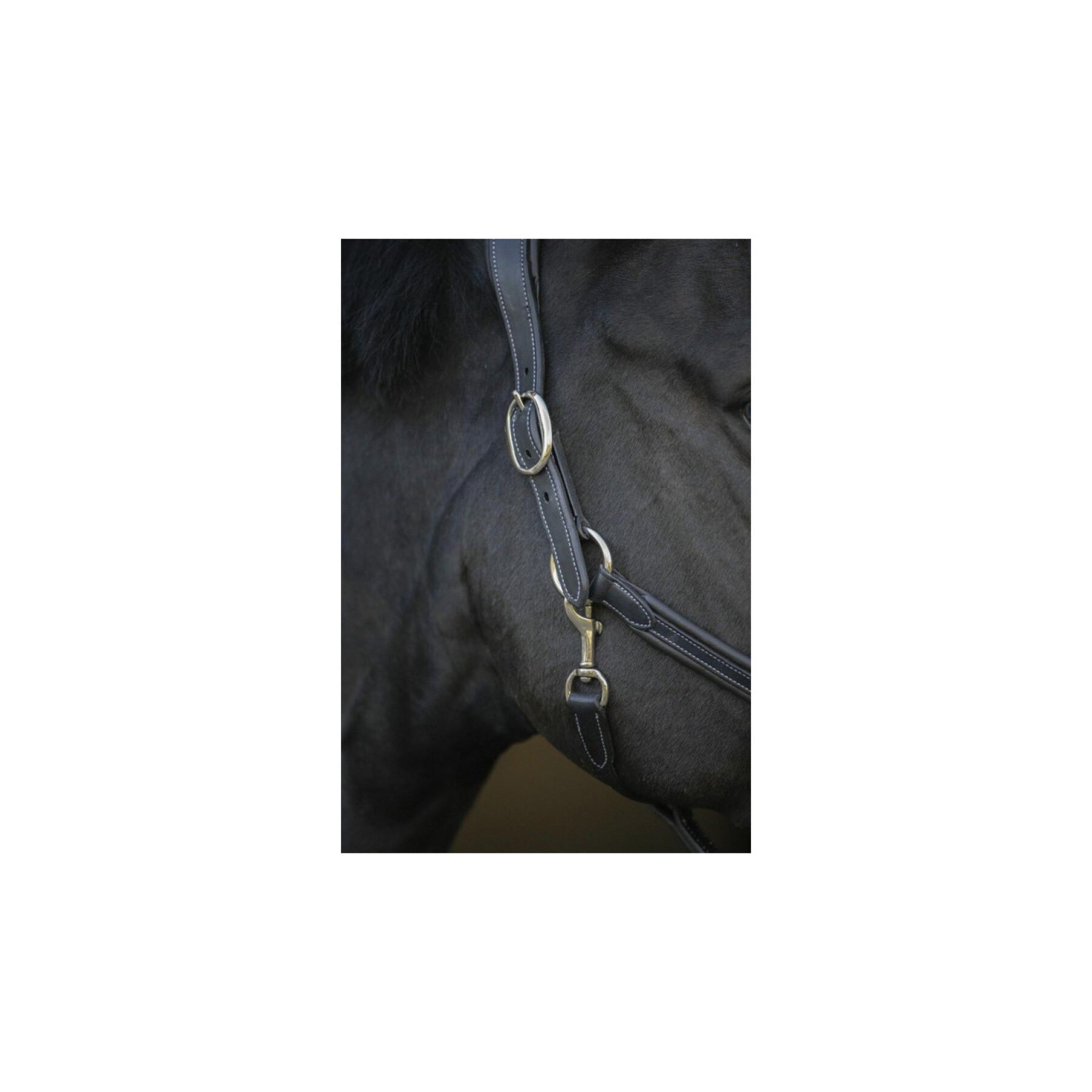 Leather halter for horse Pénélope Point Sellier