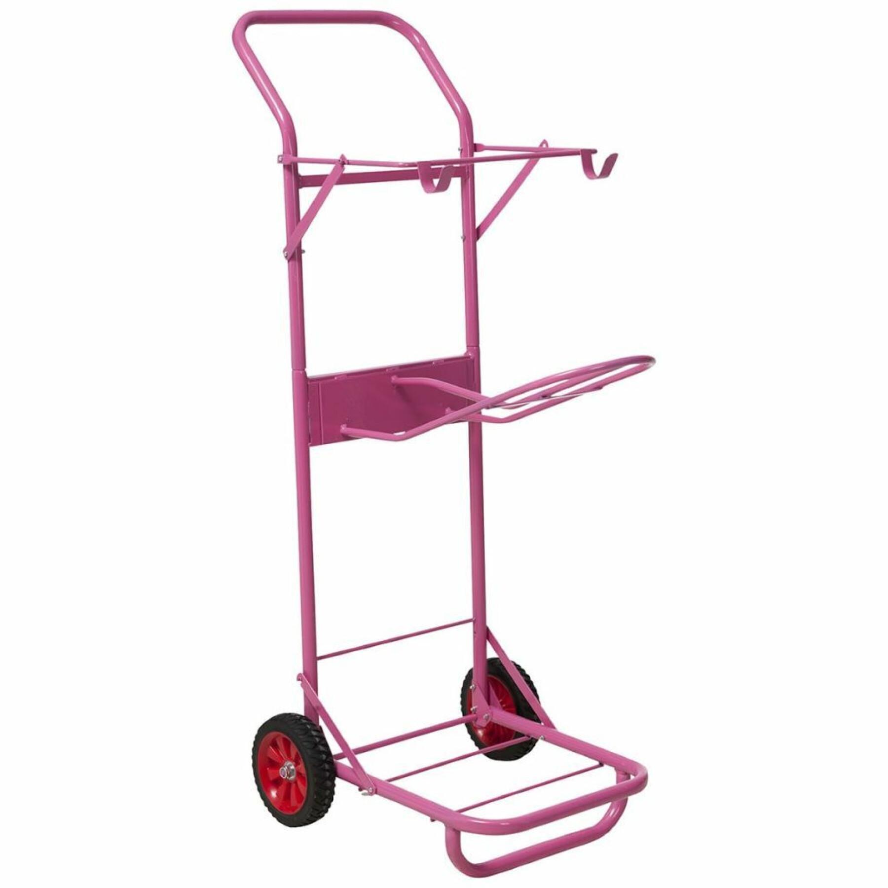 Hippotonic saddle cart