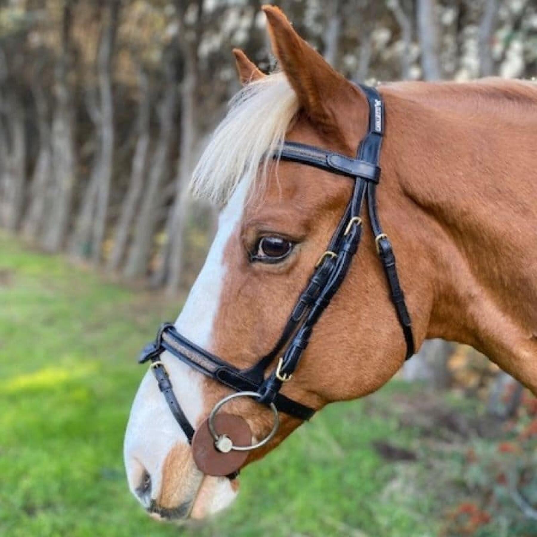 Snaffle bridles with removable noseband Cavaletti Goldy