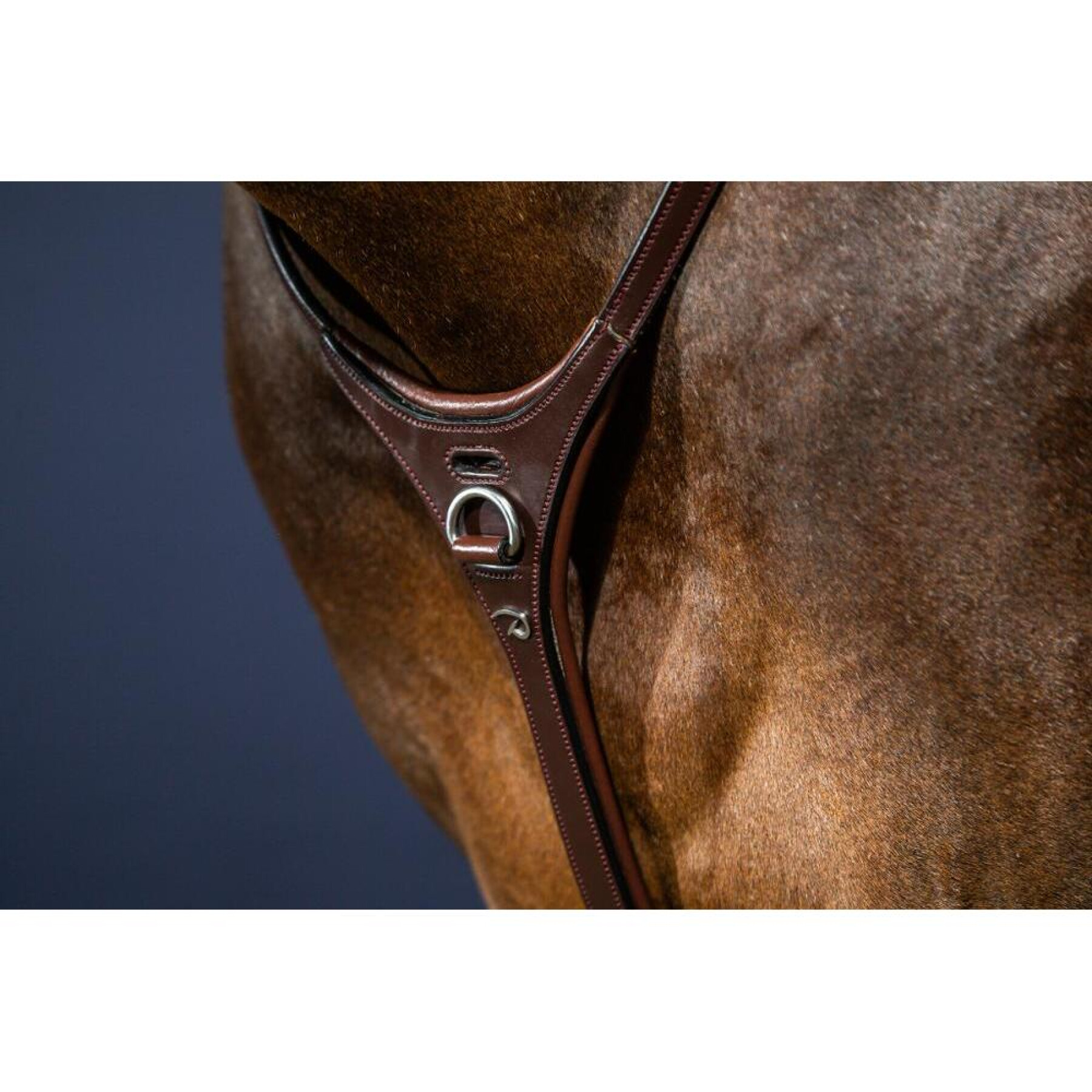 Hunting collar for horse Dy’on Yoke