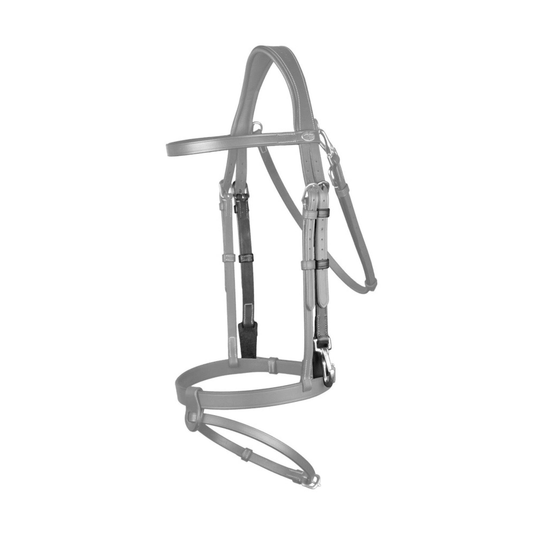 Horse bit holder with snap hooks Dy’on