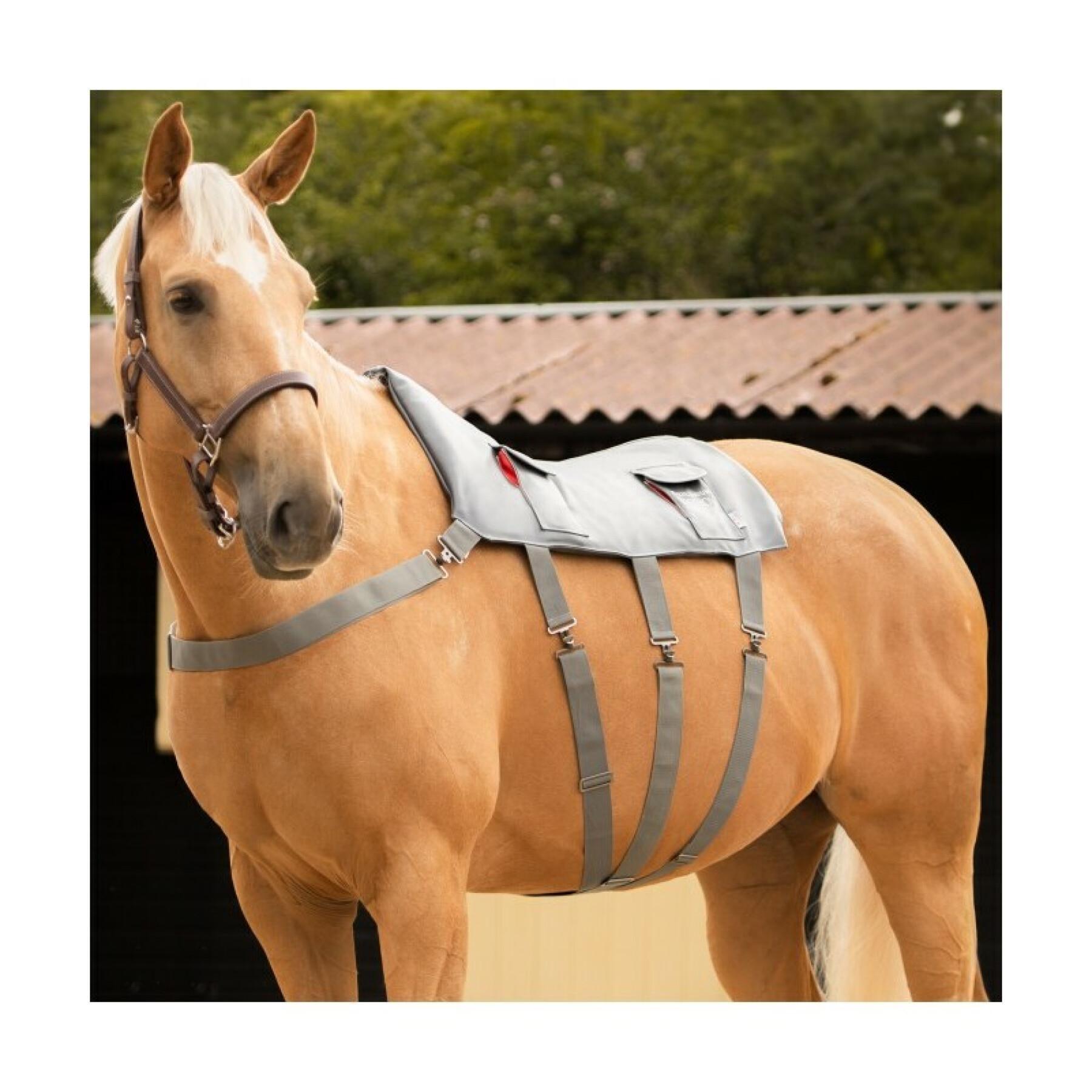 Massage mat for horses Equilibrium