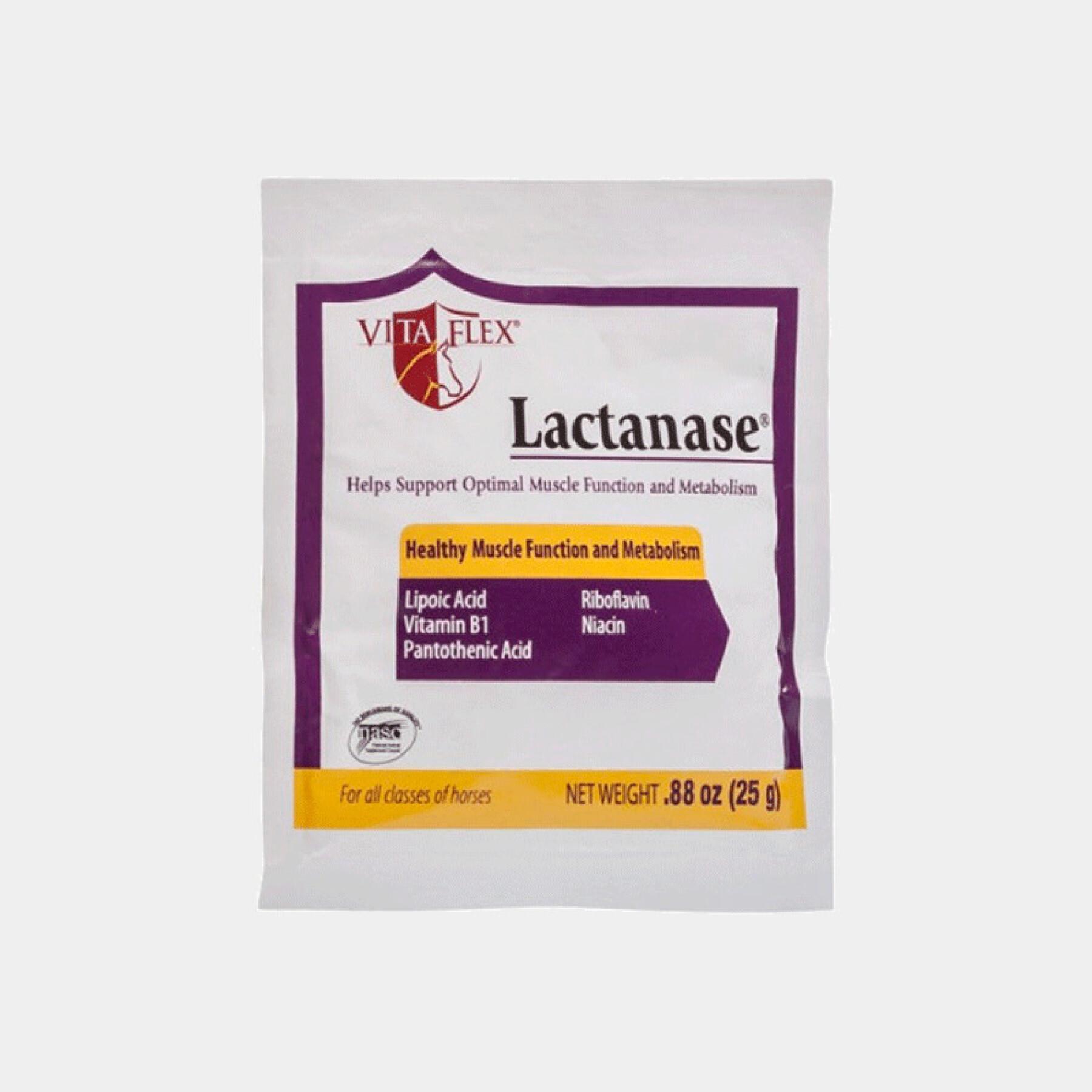 Recovery supplement for horses - sachet Farnam Lactanase