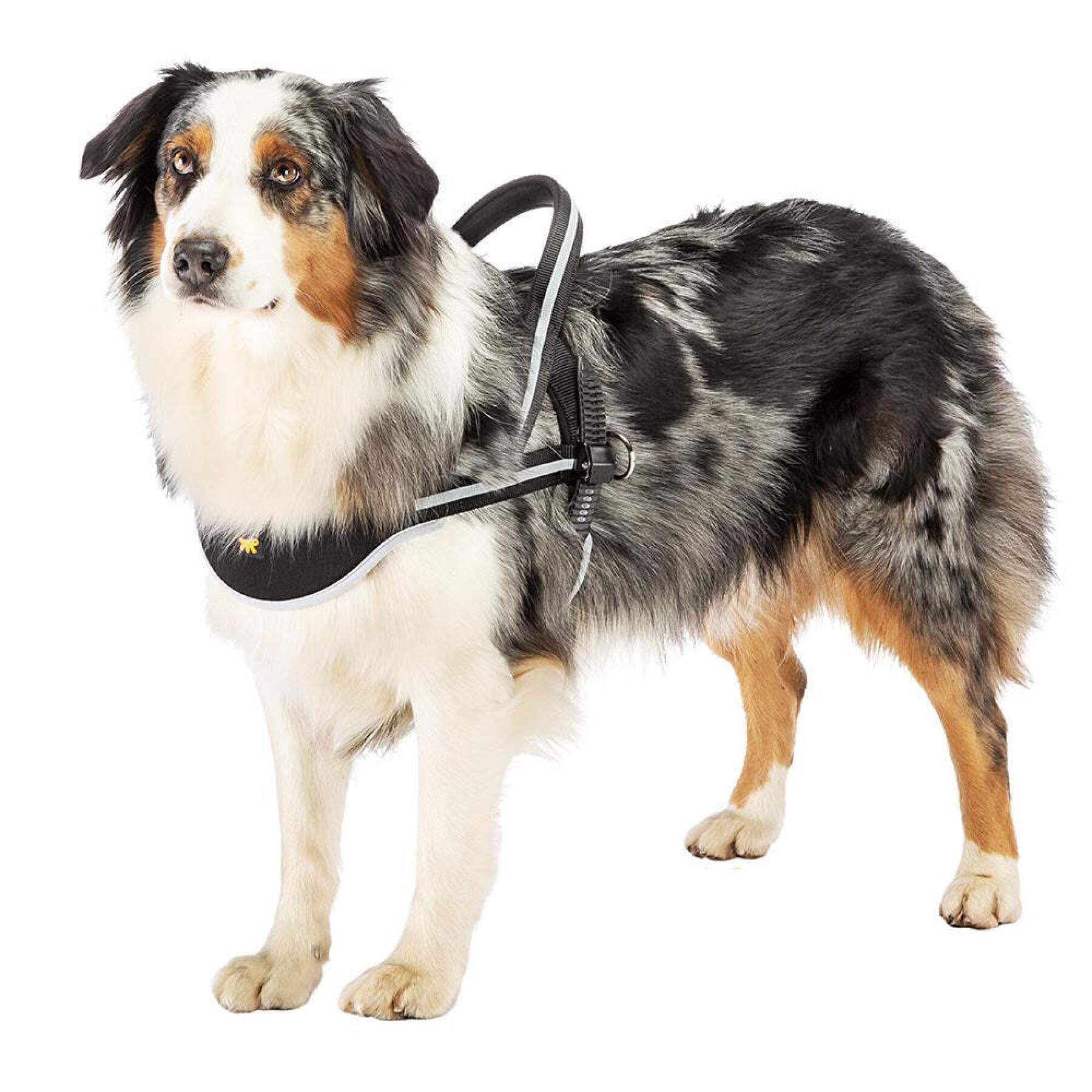Dog harness Ferplast Ergocomfort Nordic 3