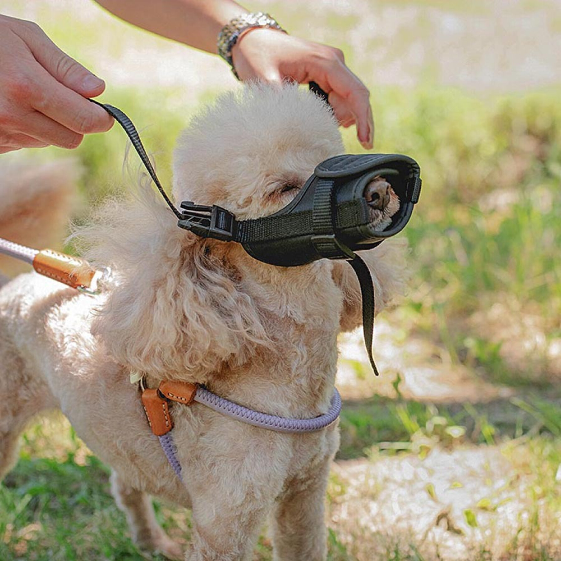 Dog muzzle Ferplast Safe