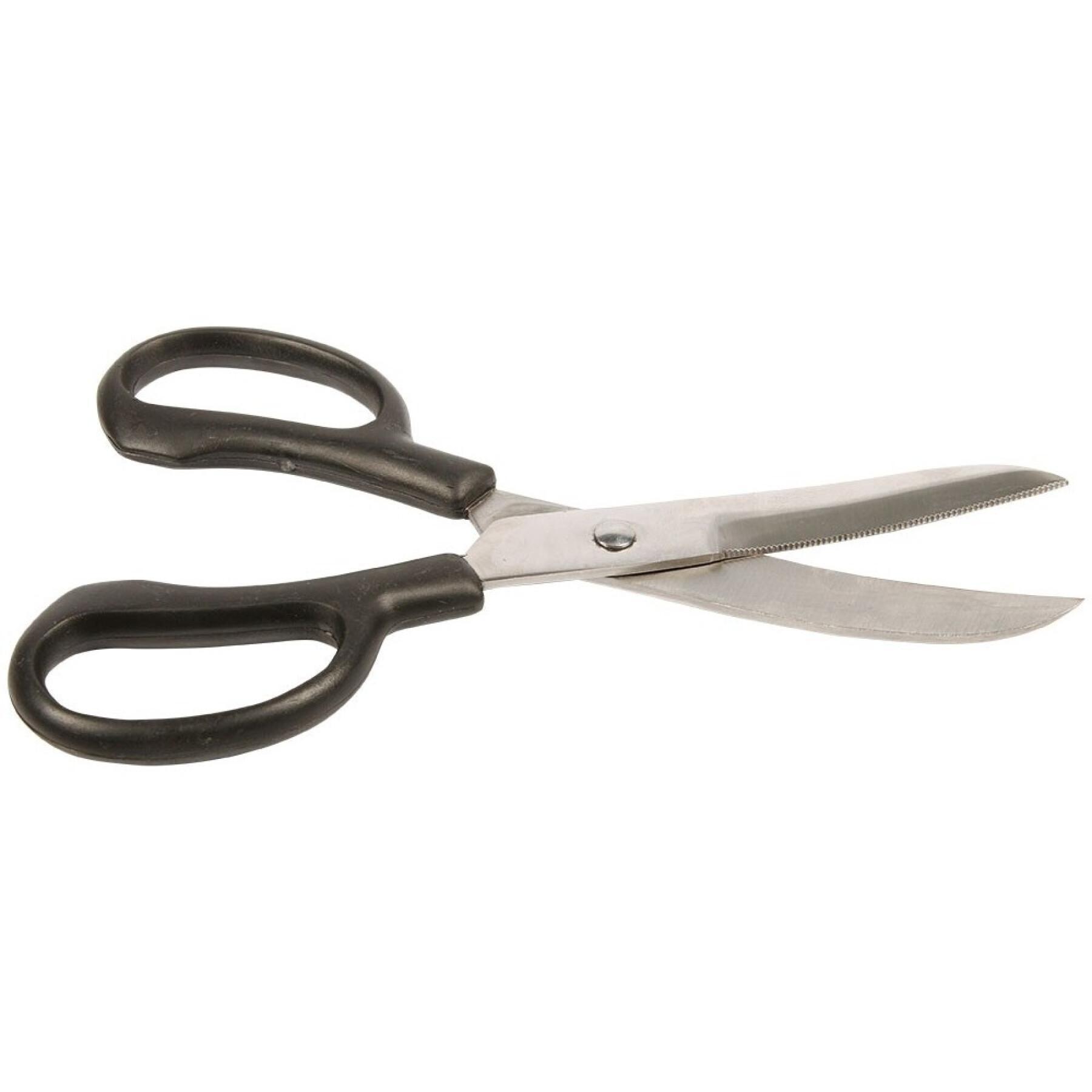 Curved stainless steel scissors Harry's Horse
