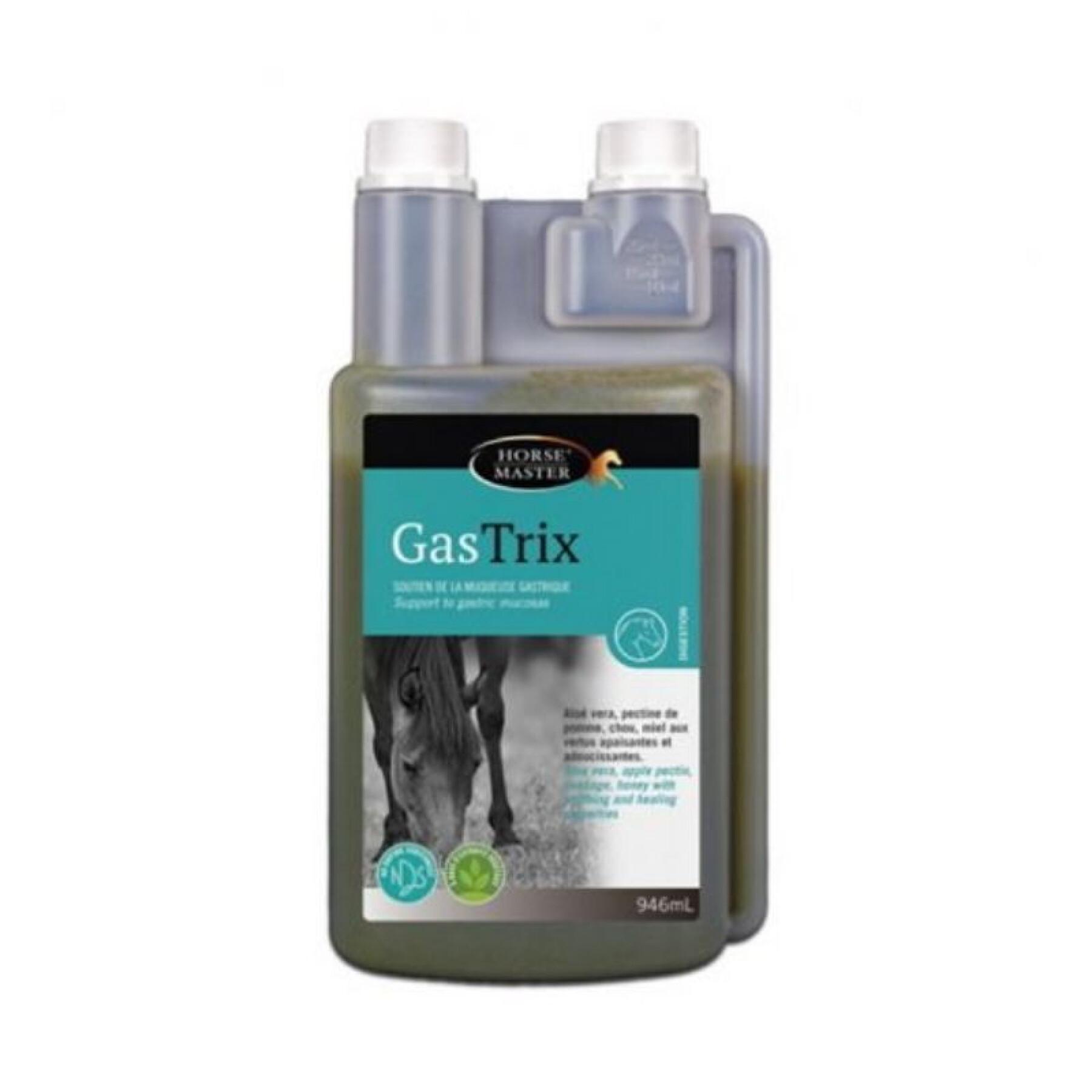 Supplement Digestion Horse Master Gastrix