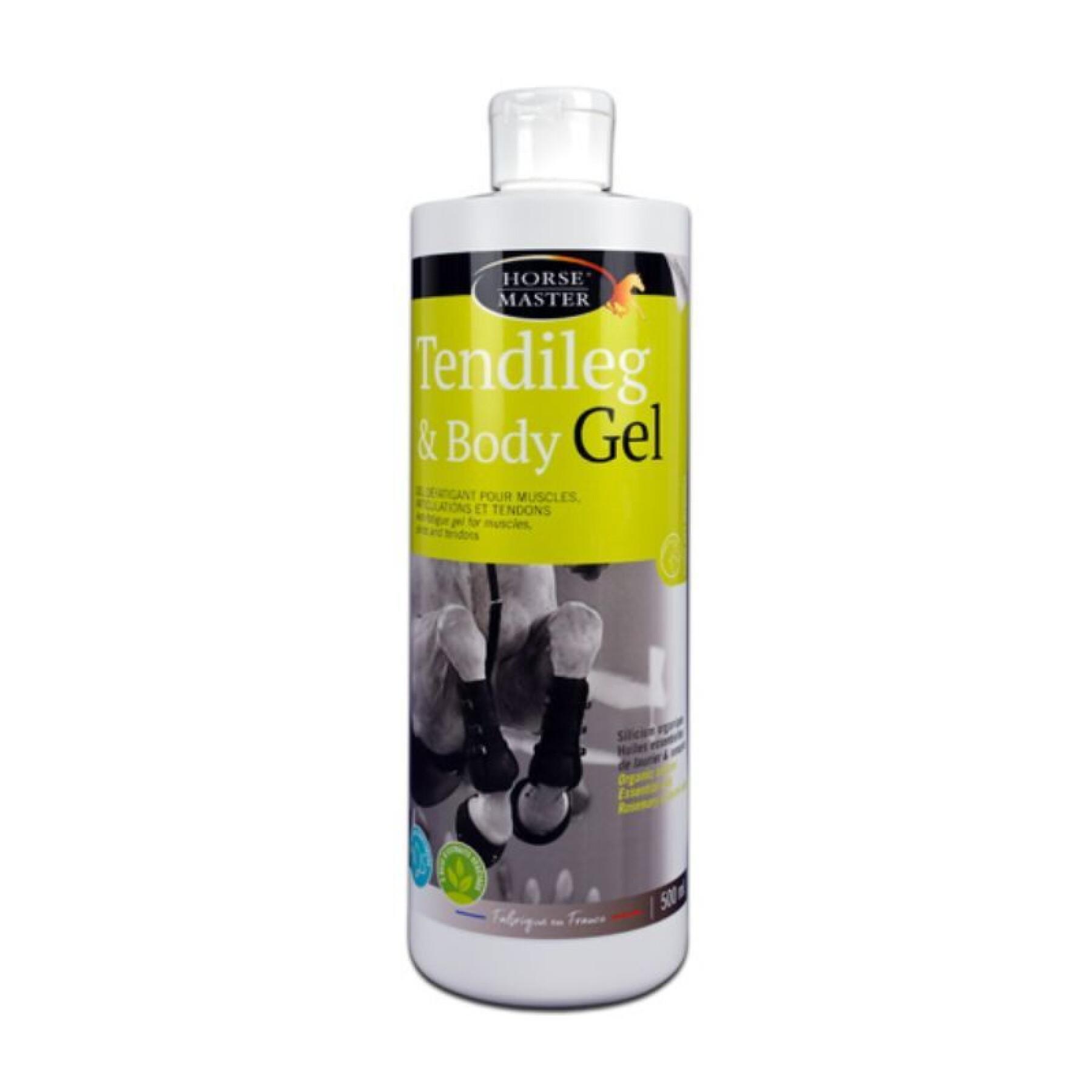Massage gel for horses before and after exercise Horse Master Tendileg