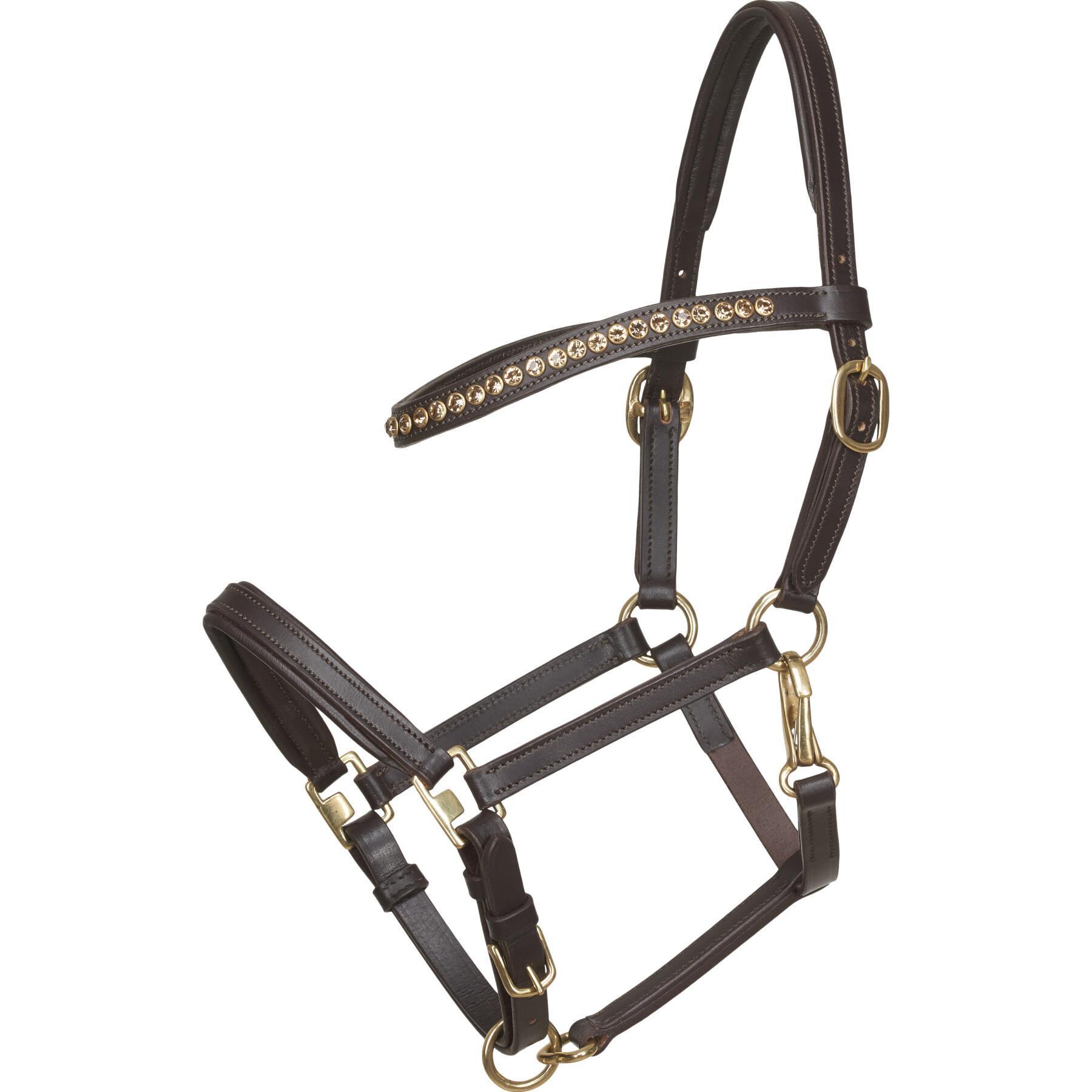 Leather halter for foal horses HorseGuard