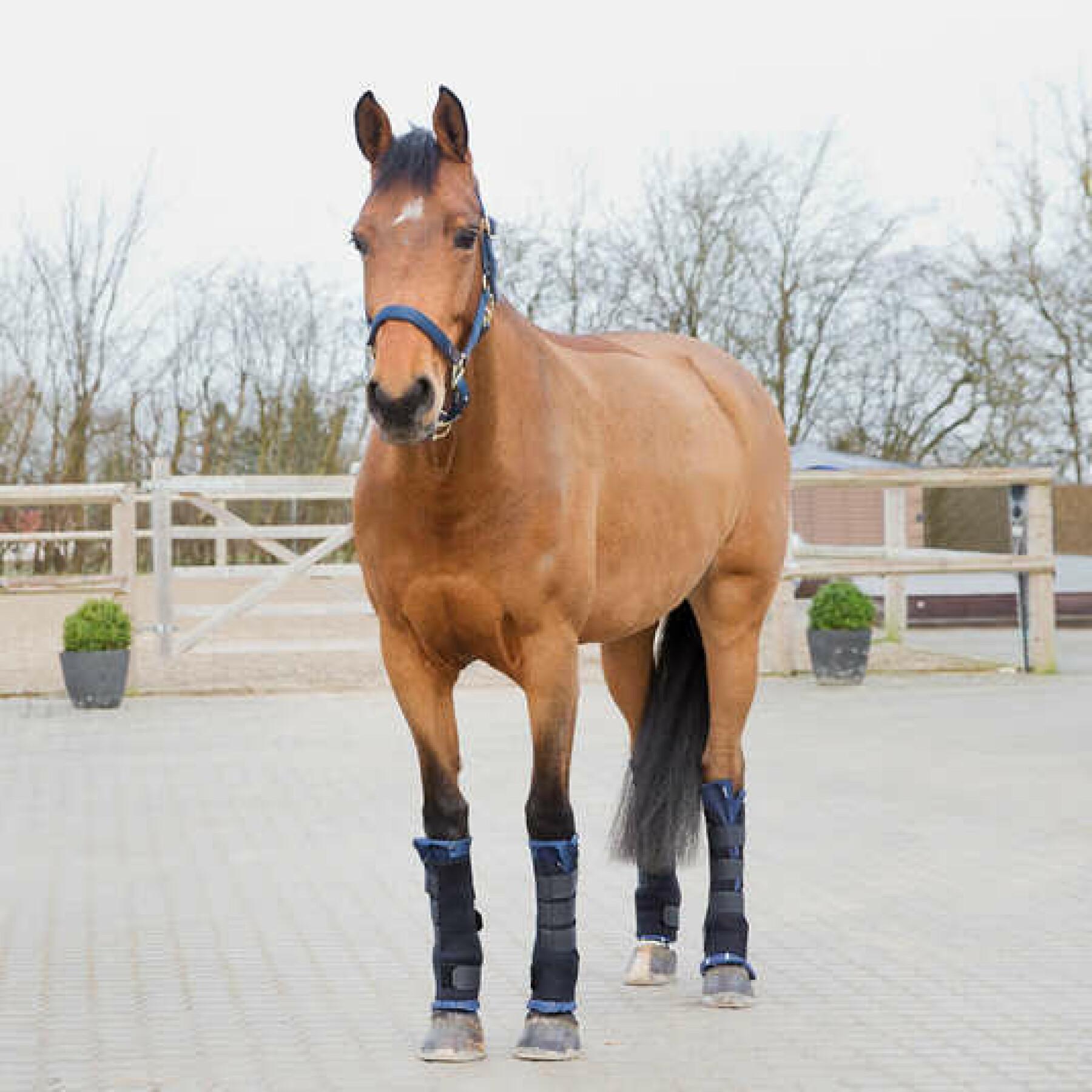 Front stable gaiters for horses Horze Pro