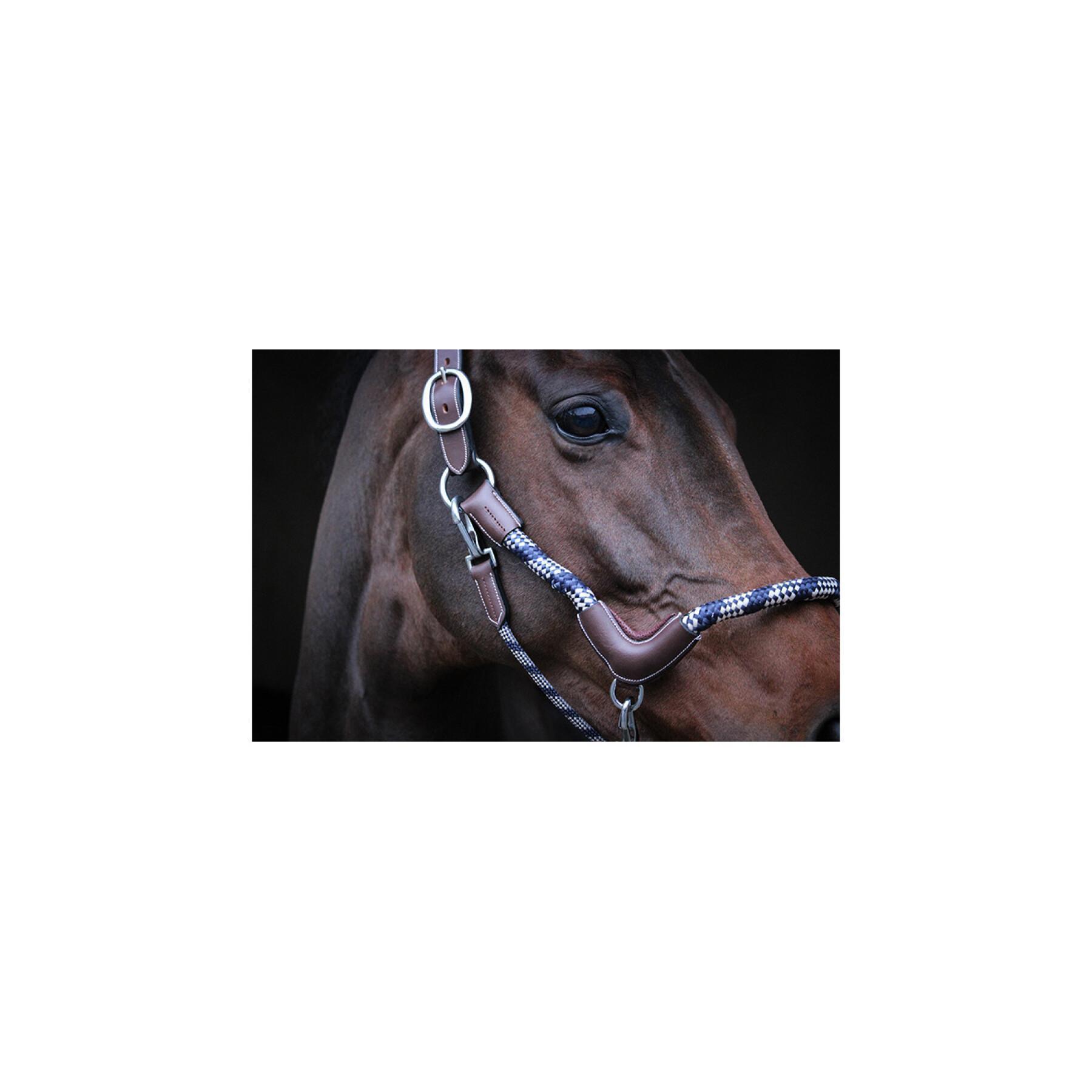 Travel halter for horses Jump'In Collection One