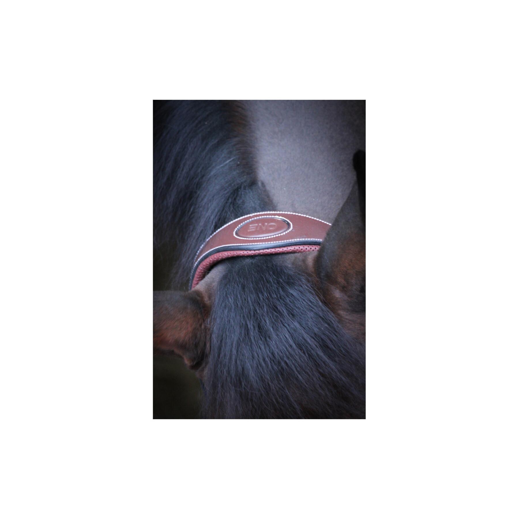 Travel halter for horses Jump'In Collection One