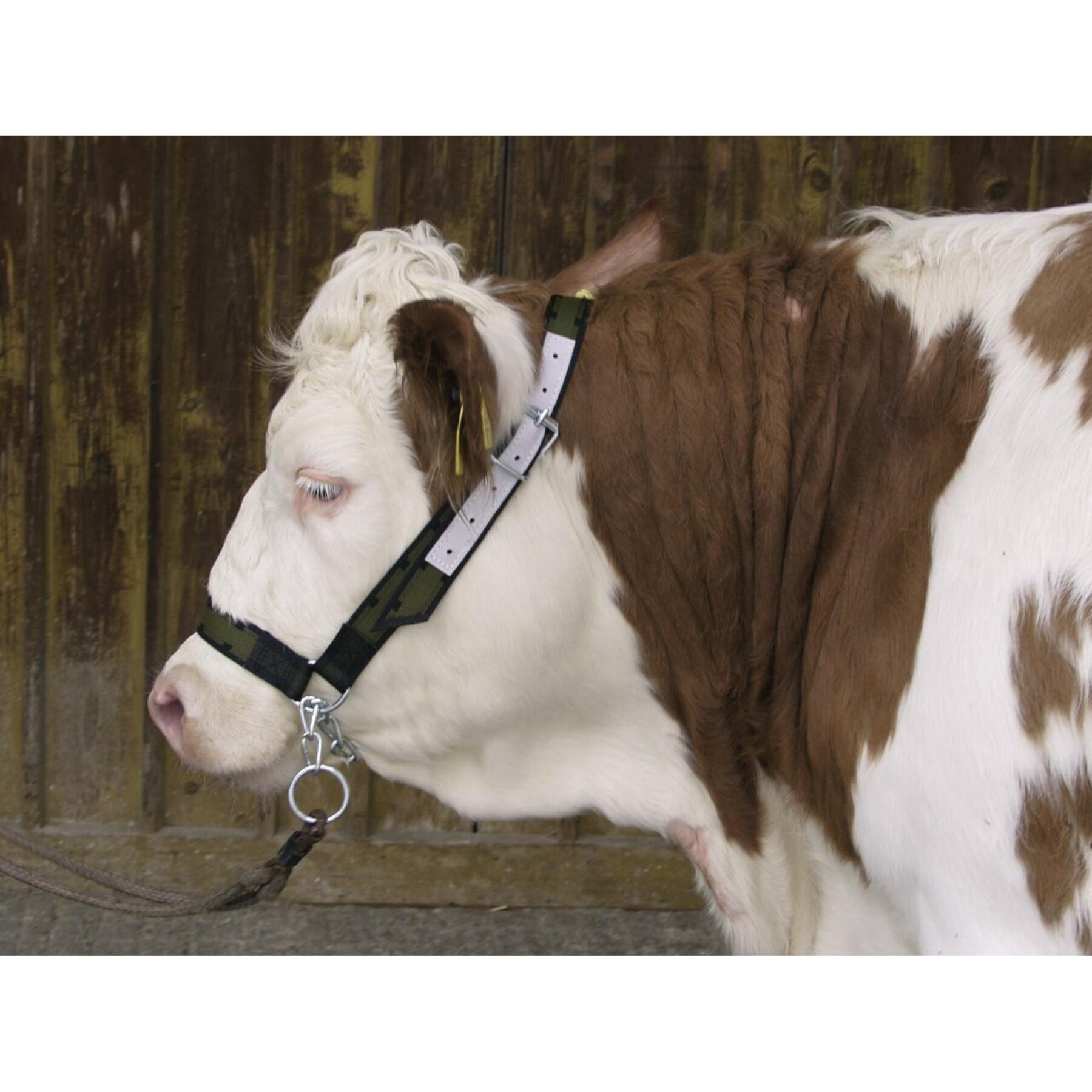 Cow halter with chin chain Kerbl