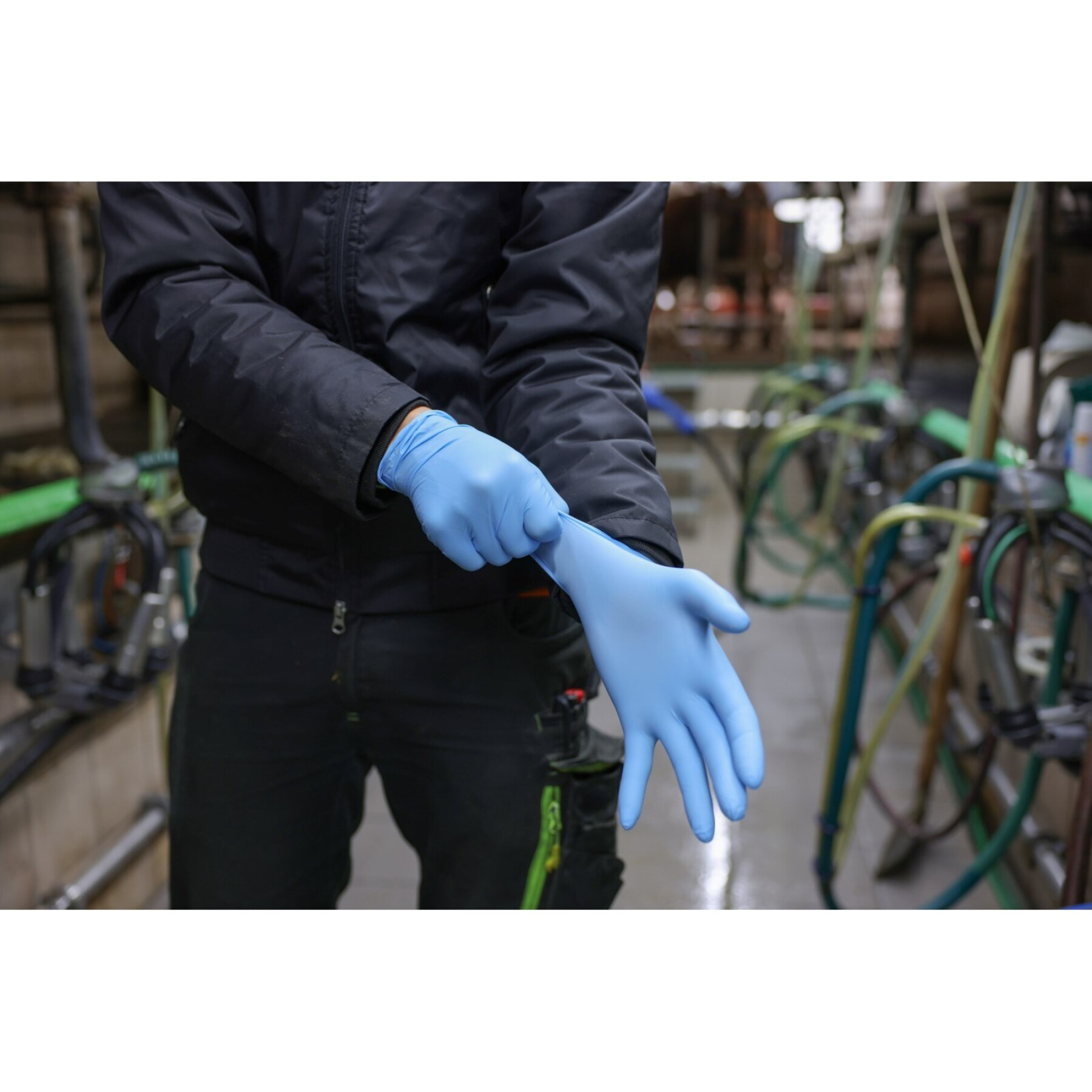 Single-use nitrile gloves Kerbl Top Pro (x90)