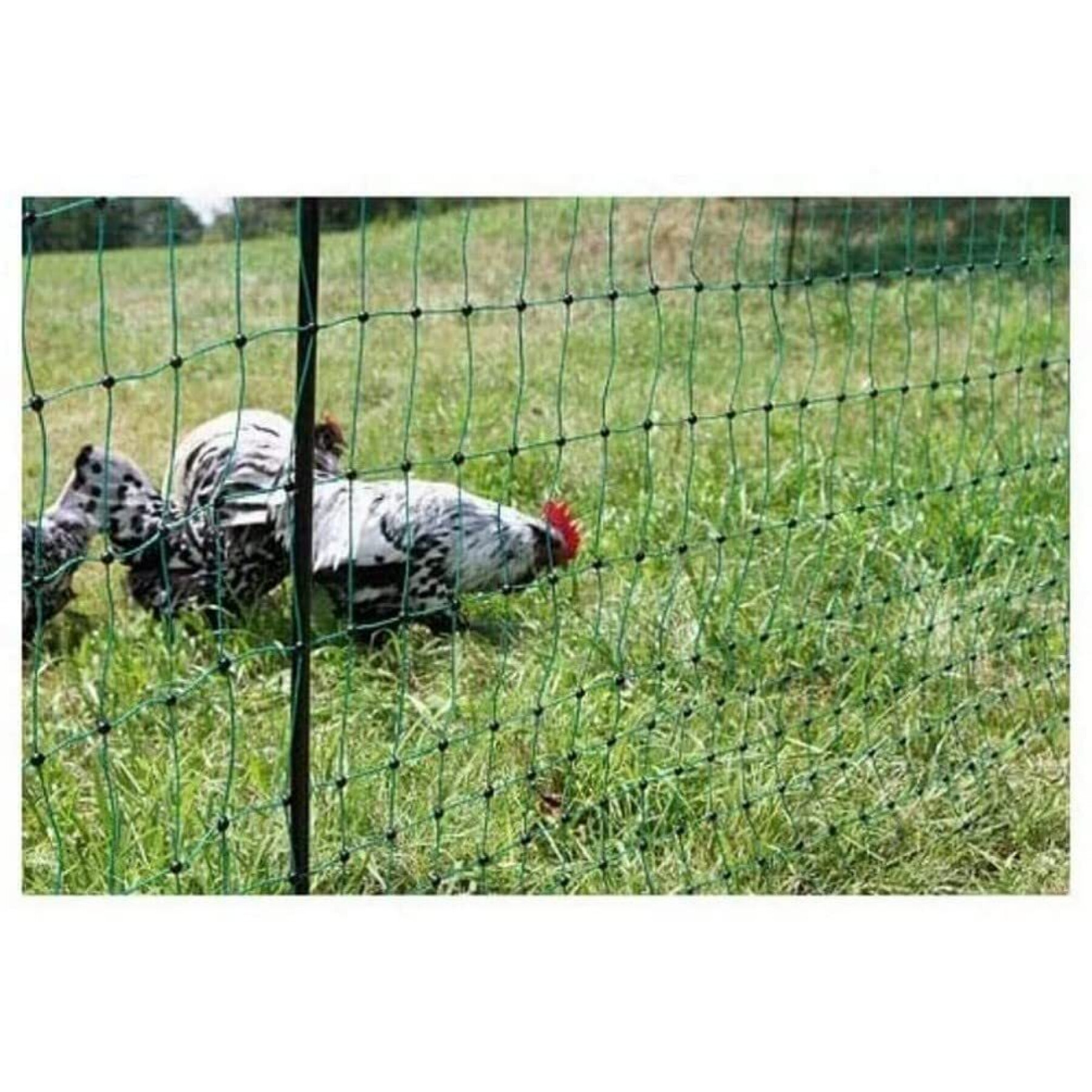 Double-point electrifiable poultry fencing net Kerbl