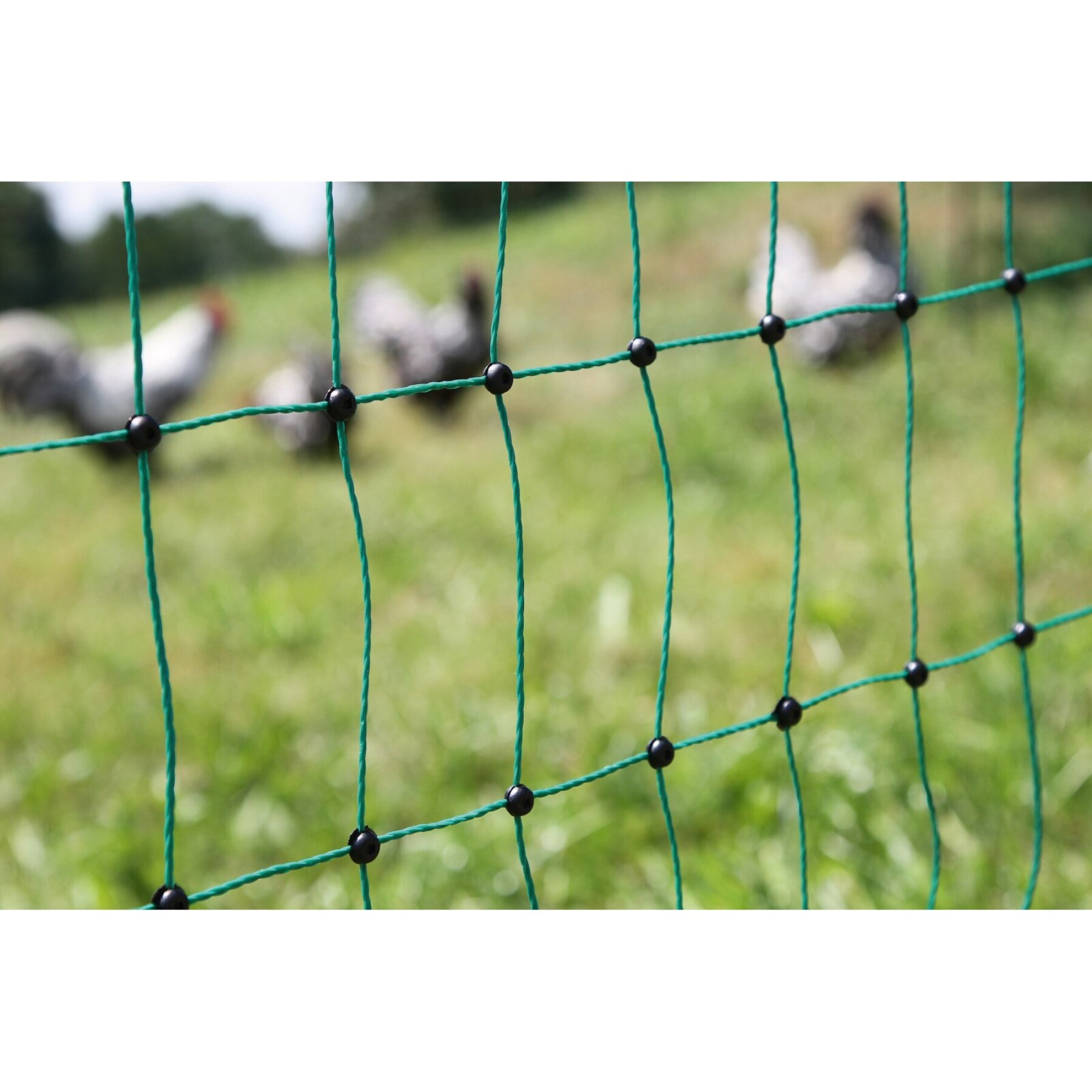 Double-point electrifiable poultry fencing net Kerbl
