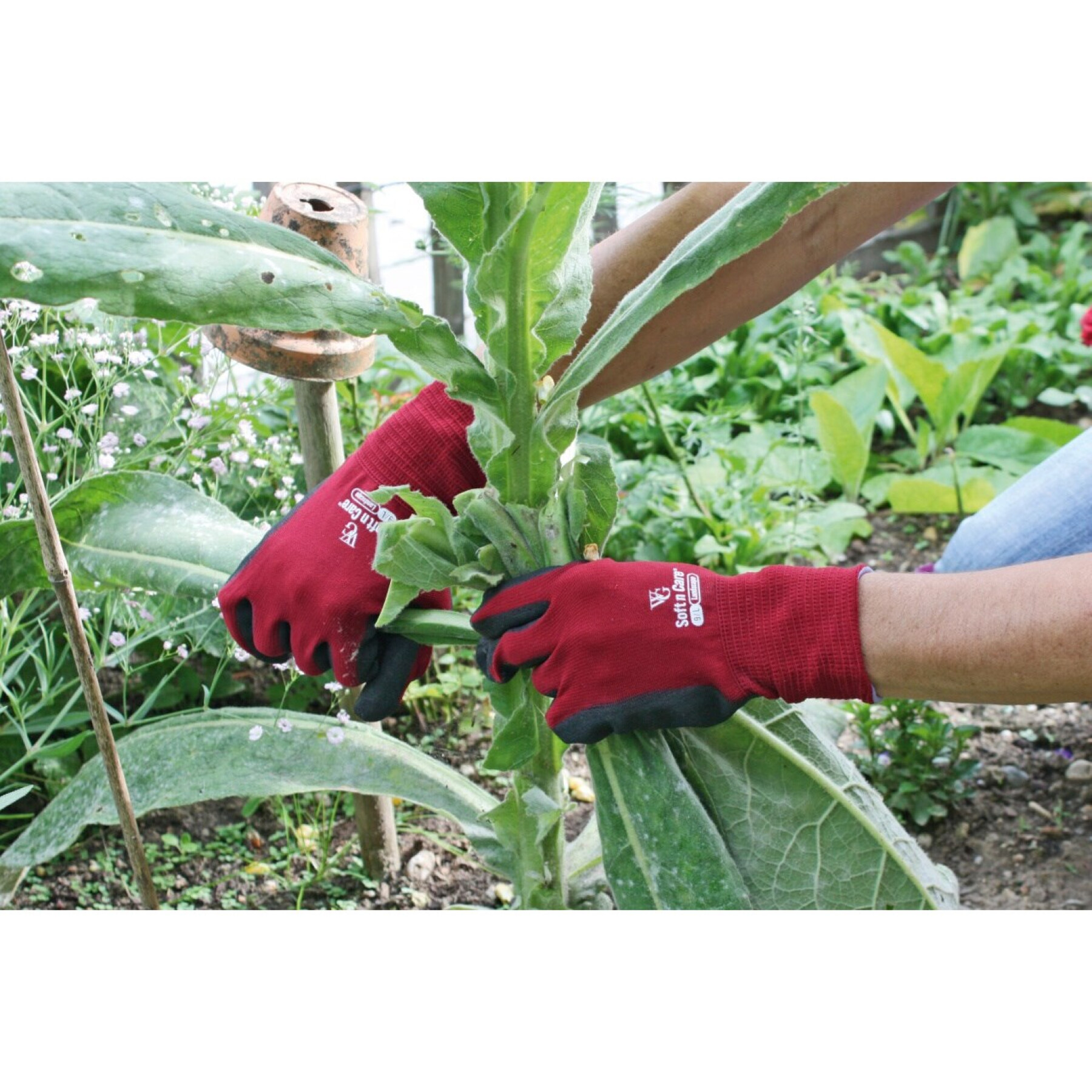 Gardening gloves Kerbl Soft N Care Landscape