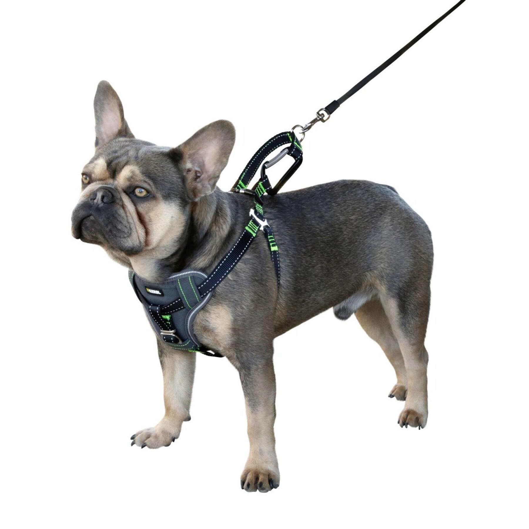 Car harness for dogs Kerbl