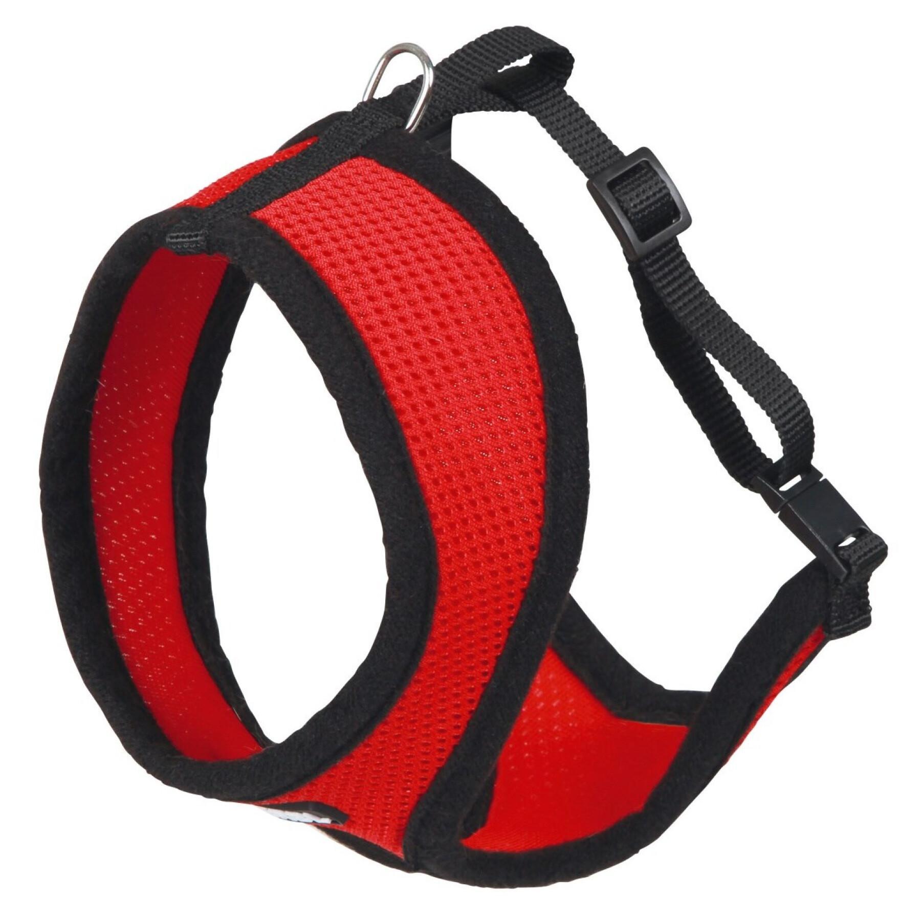 Set of 3 cat harnesses with leash Kerbl Active