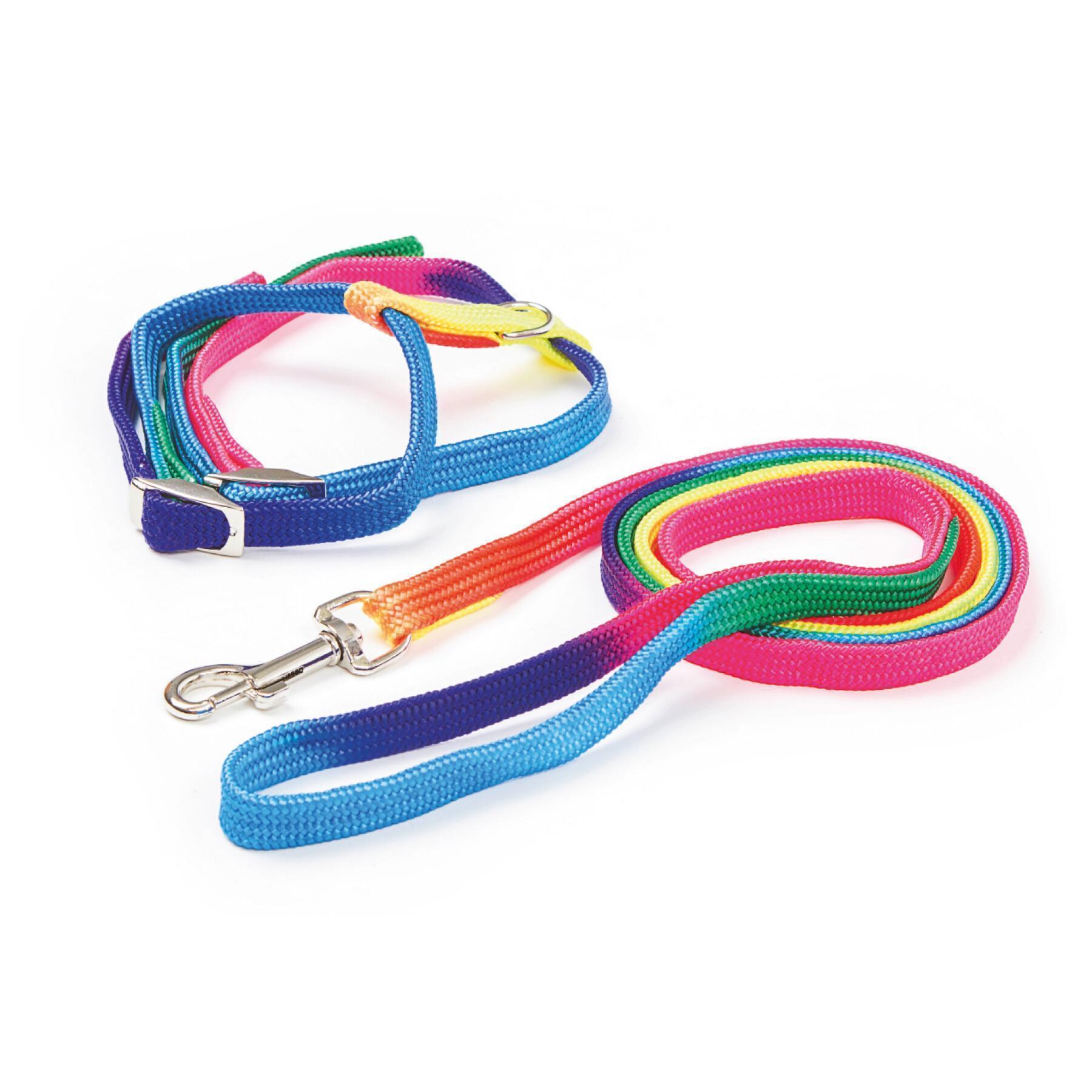 Set of 3 cat harnesses with leash Kerbl Rainbow