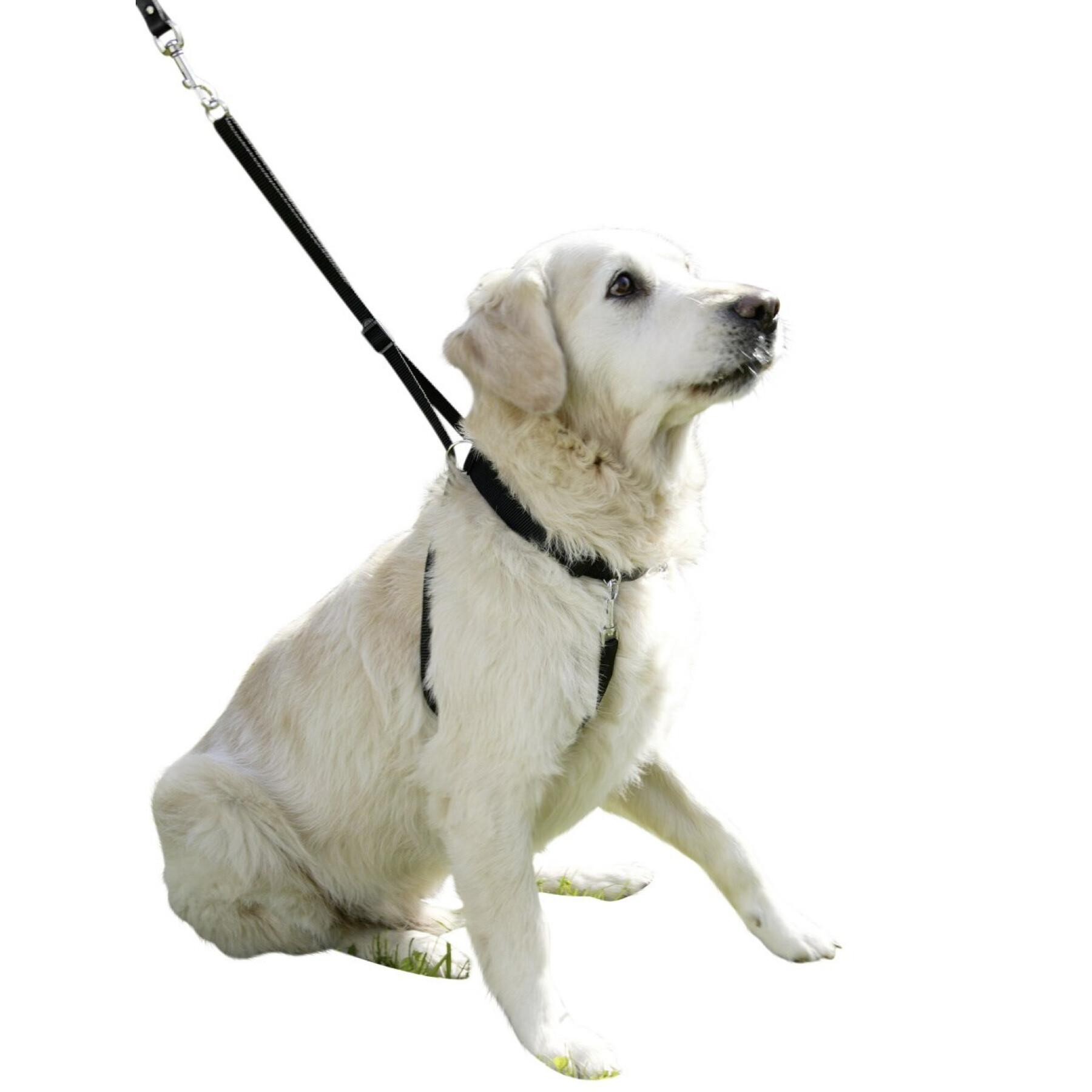 Dog harness Kerbl Maxi Leader