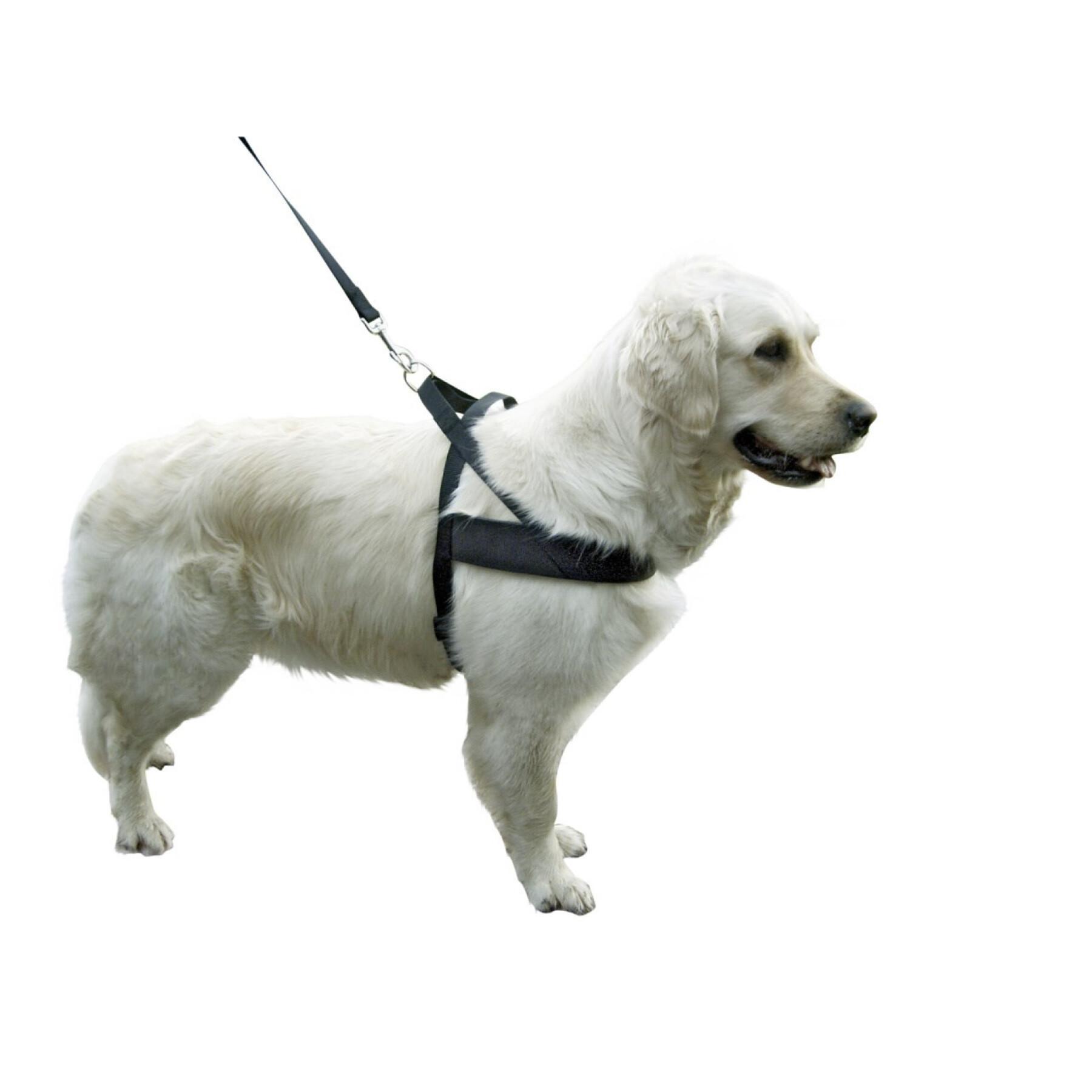 Dog harness Kerbl Miami Plus