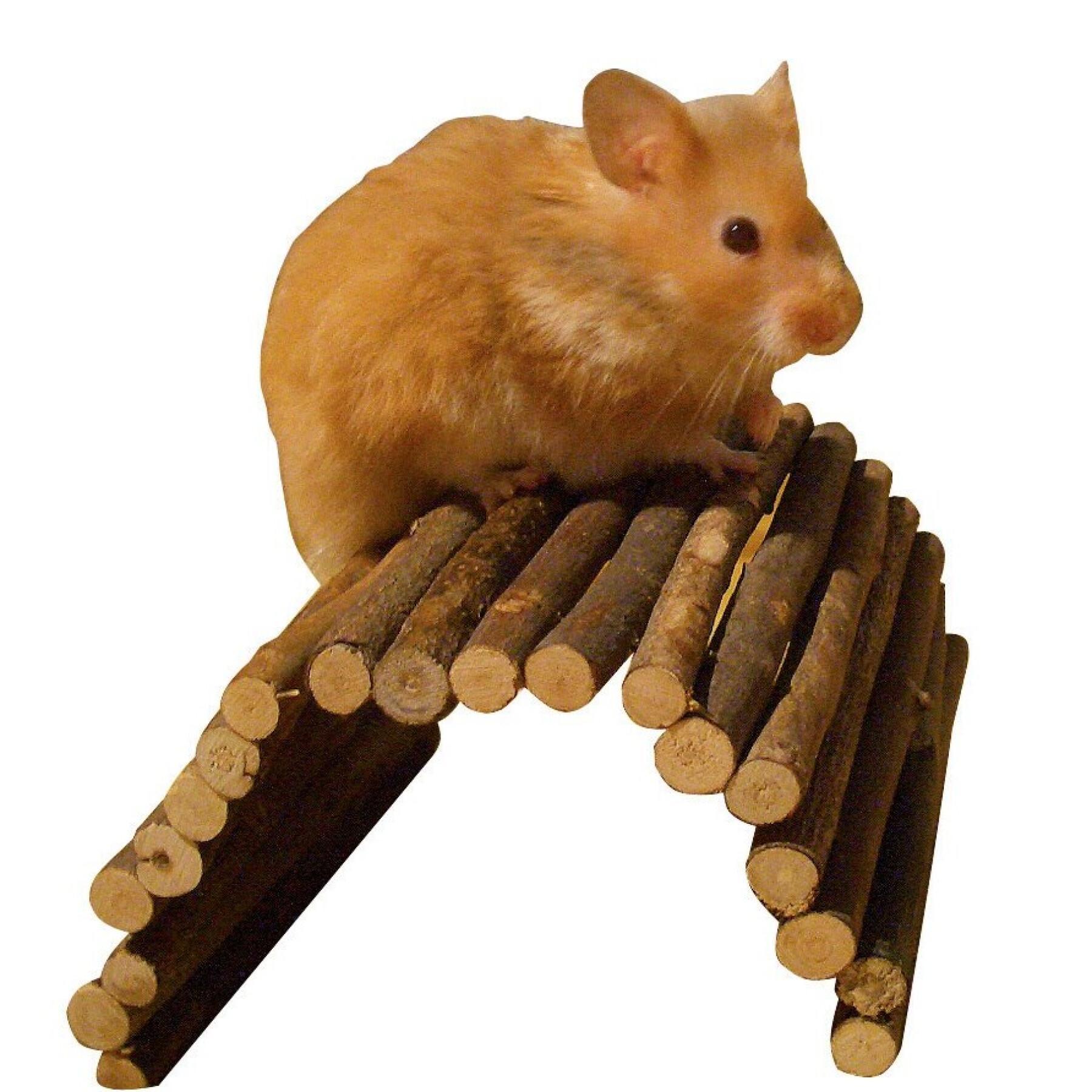 Wooden bridge for rodents Kerbl