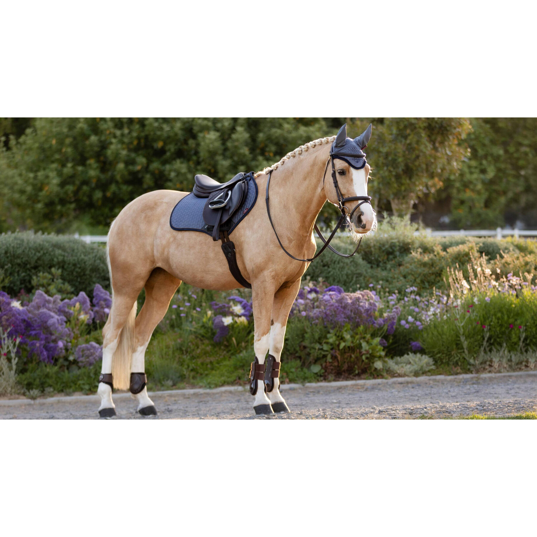 Saddle pad for horses LeMieux Close Contact