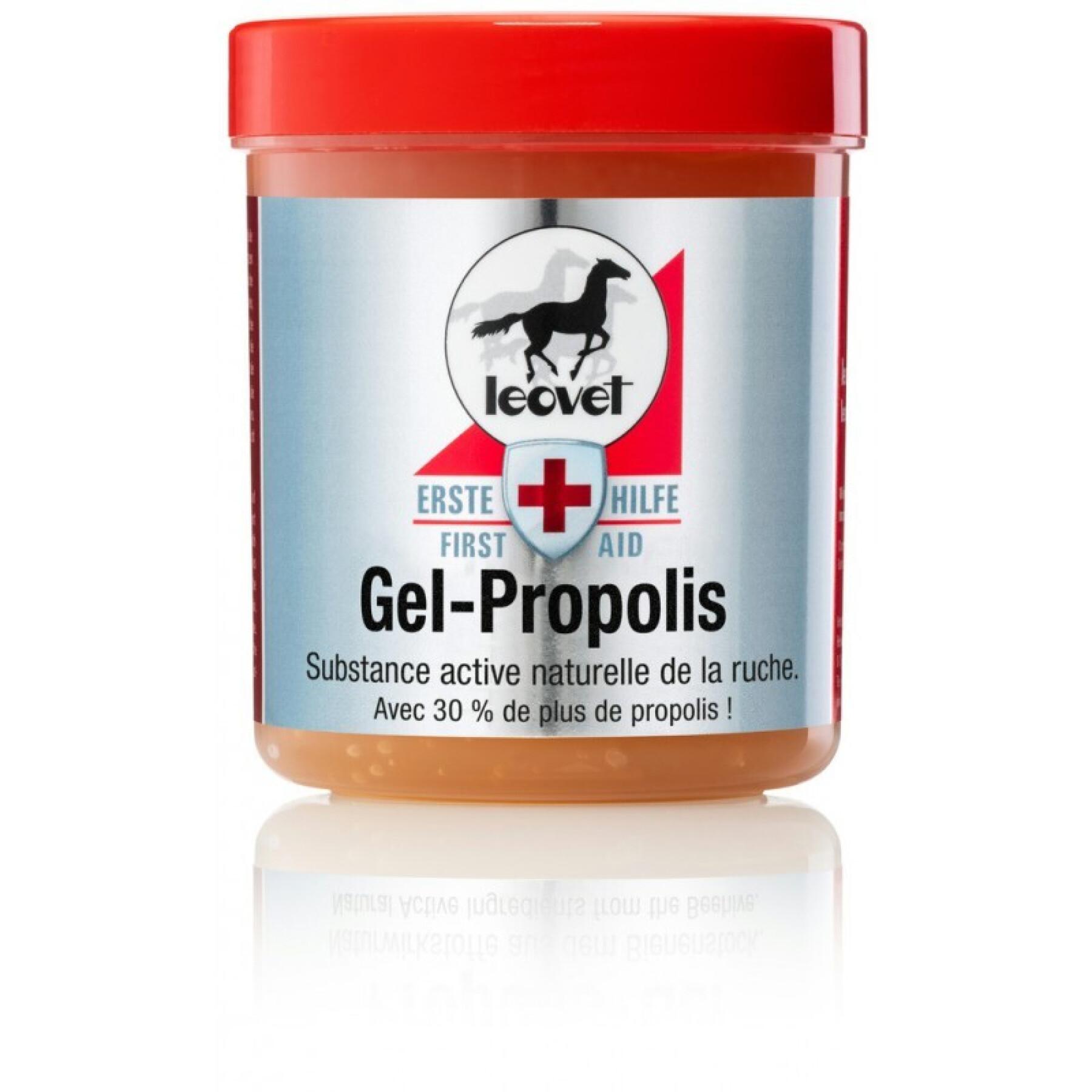 Healing gel for horses Leovet Propolis First Aid