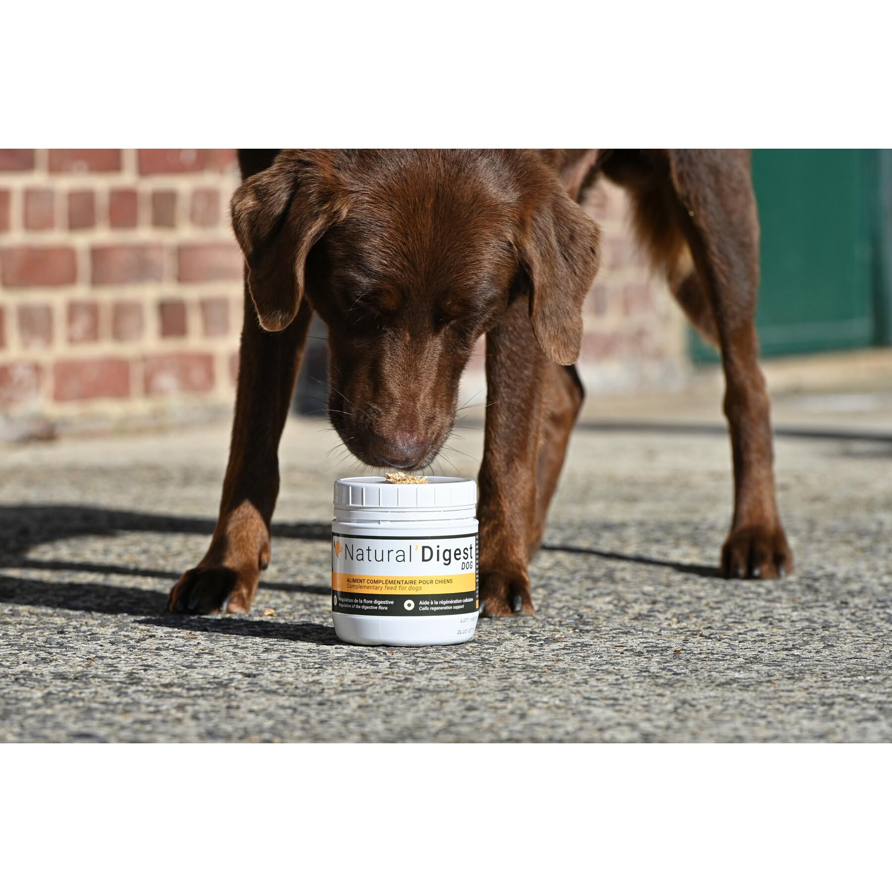 Food supplement digestion for dogs Natural Innov Natural'Digest - 200 g