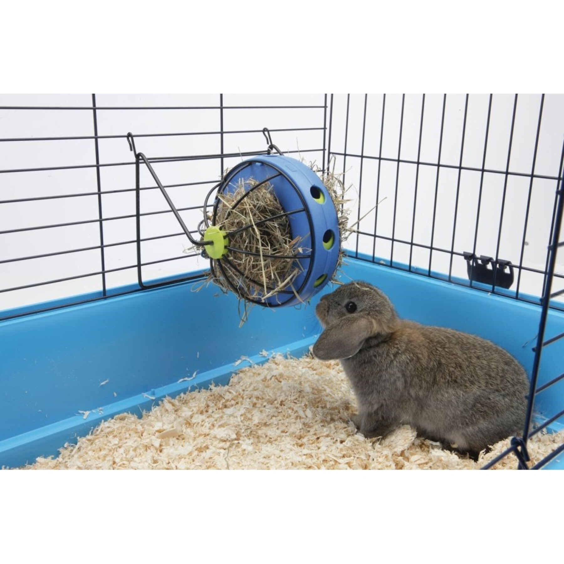 Hay ball for rodents Nobby Pet Bunny Toy