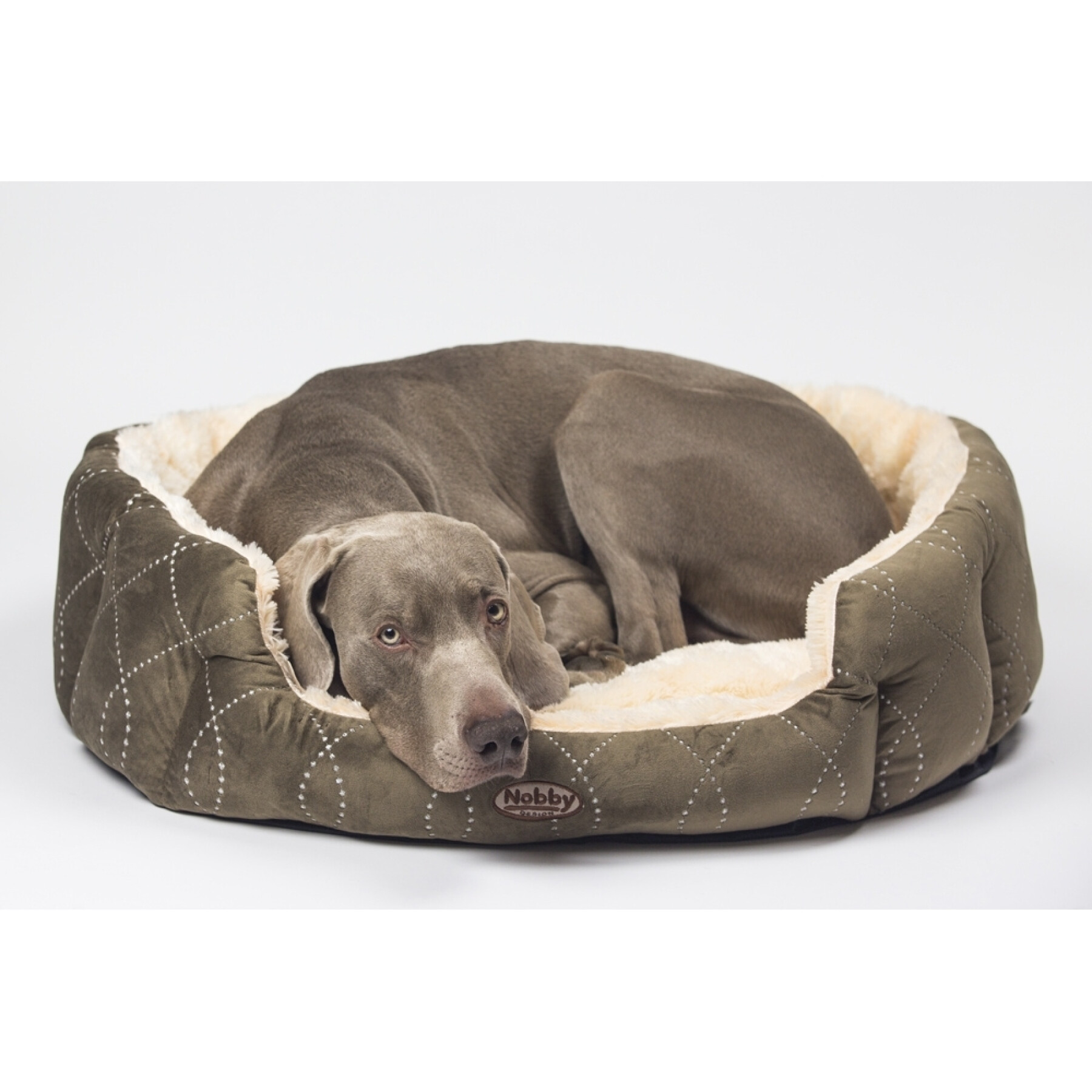 Oval comfort dog bed Nobby Pet Ceno
