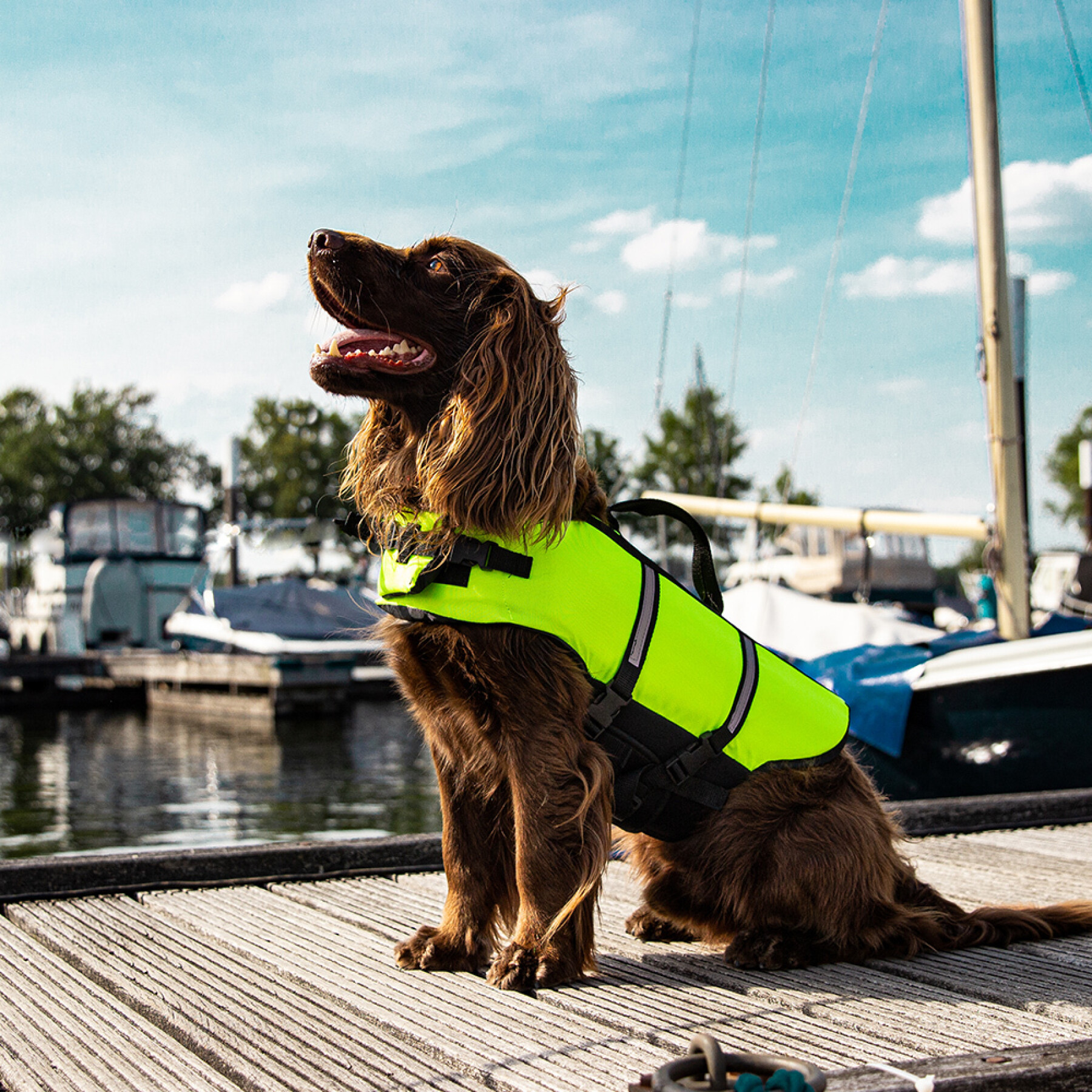 Dog life jacket Nobby Pet