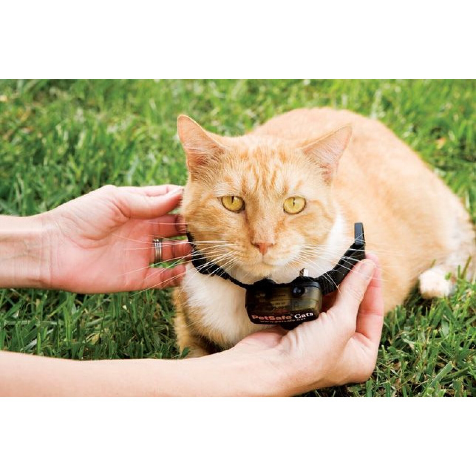 Anti-runaway fence kit for cats PetSafe Premium