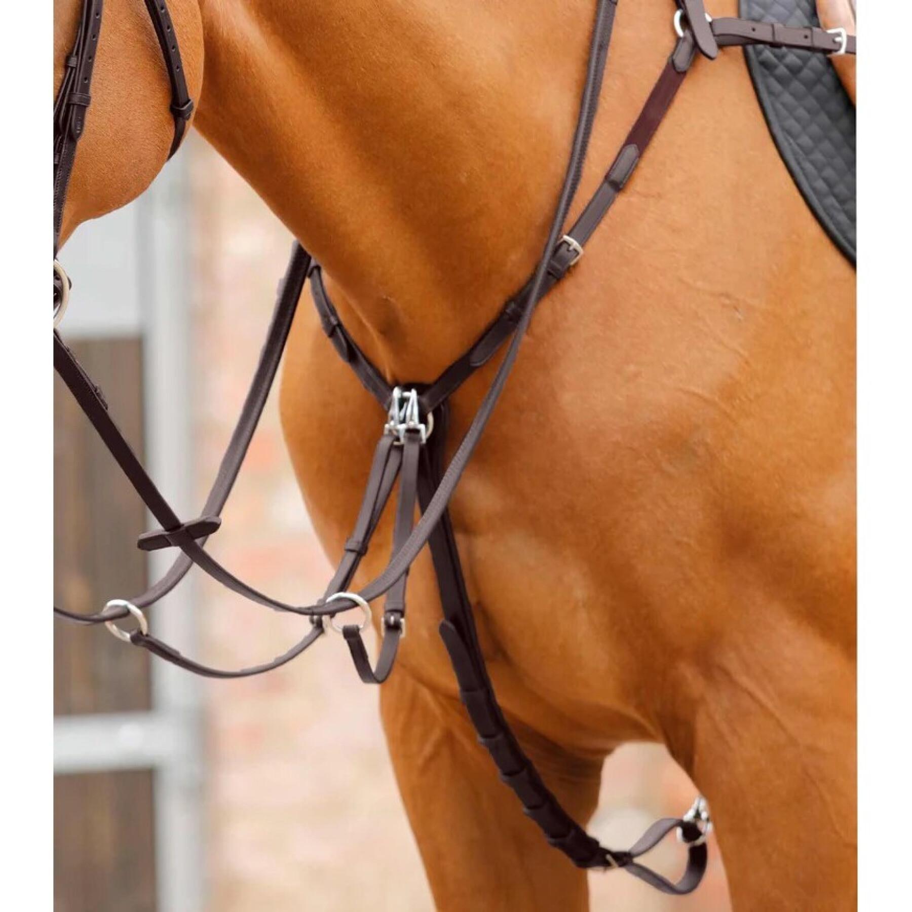 Hunting collar for horse Premier Equine Valbrona Performance