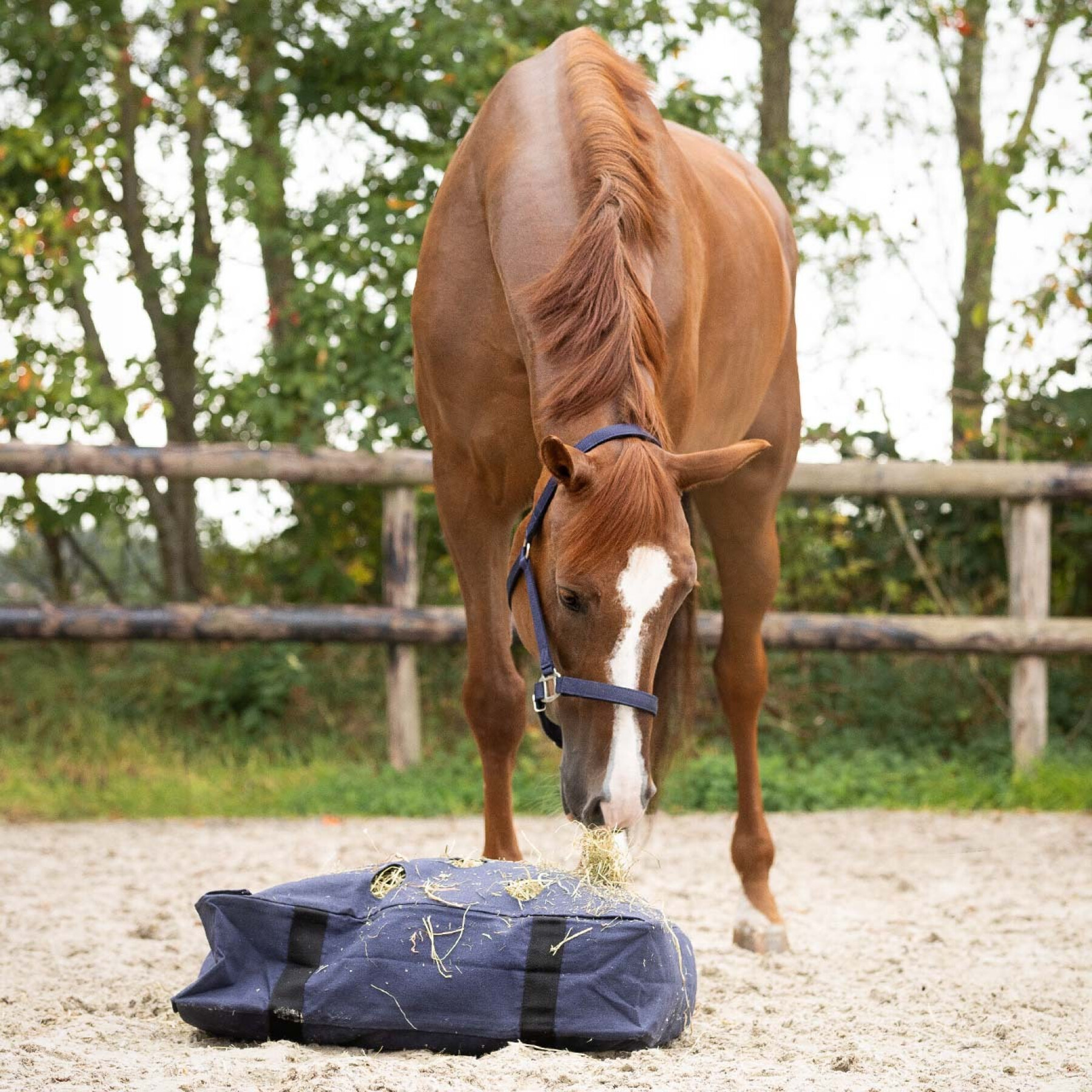 Hay Bag for horse QHP