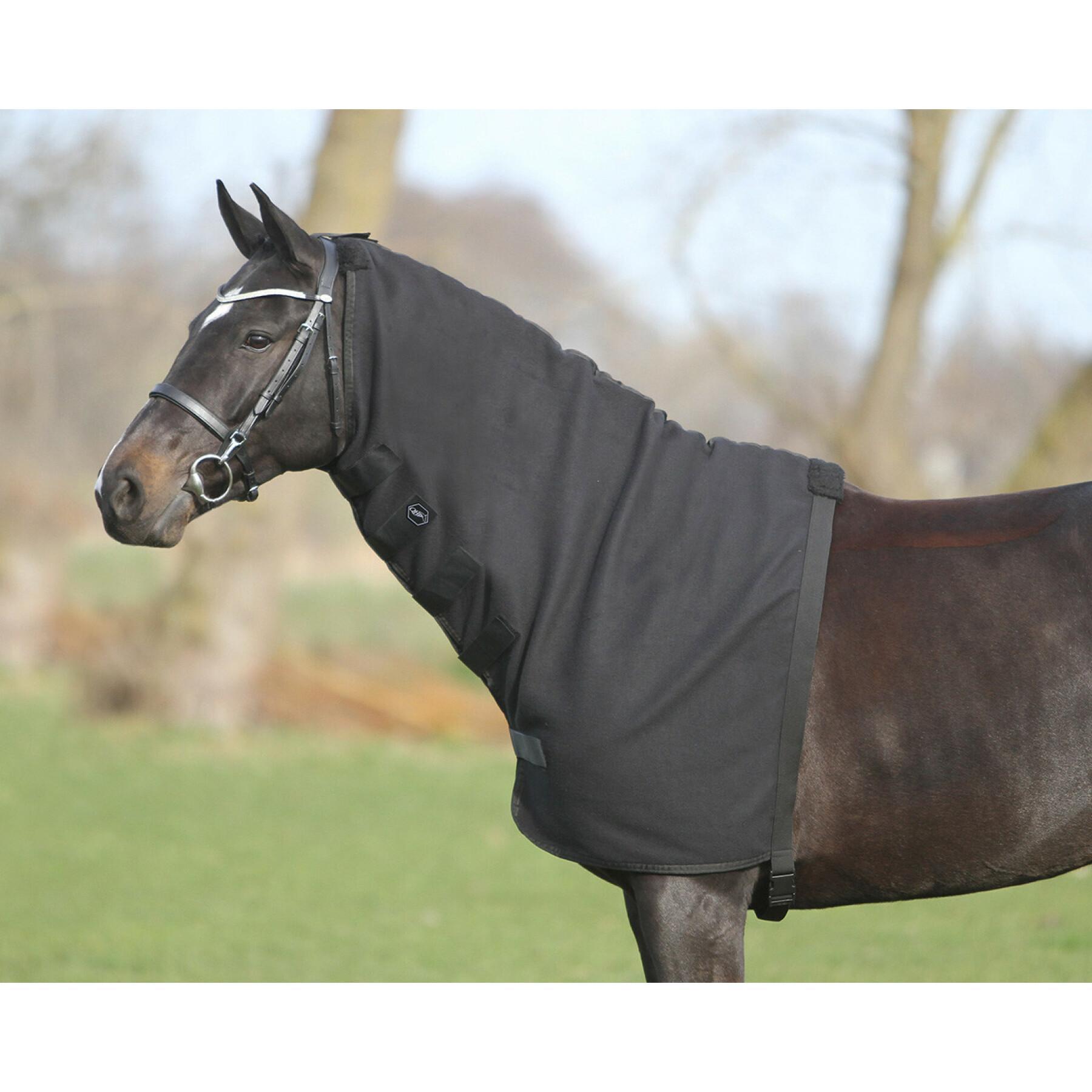Fleece horse blanket QHP