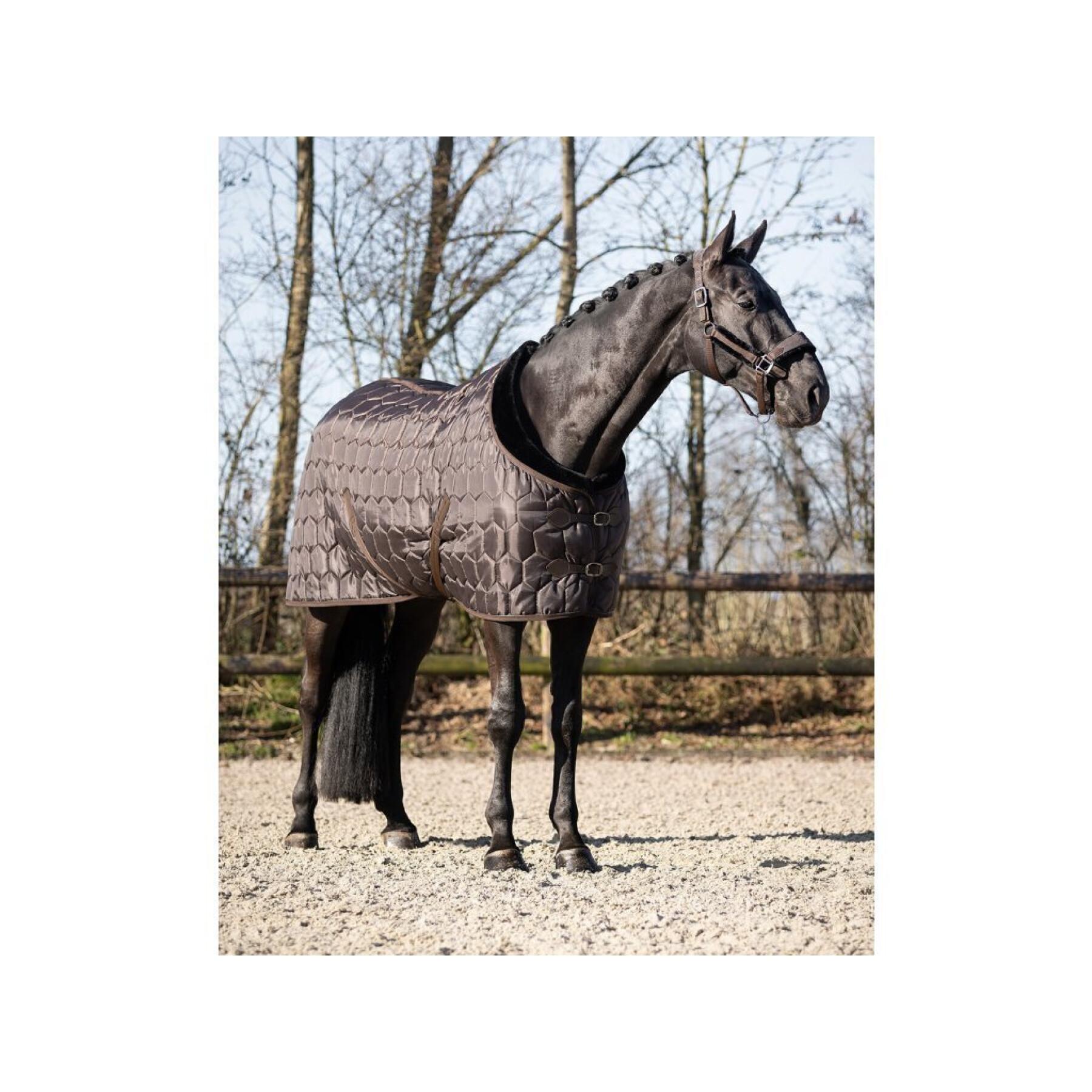 Stable Blanket  QHP Classy 100g