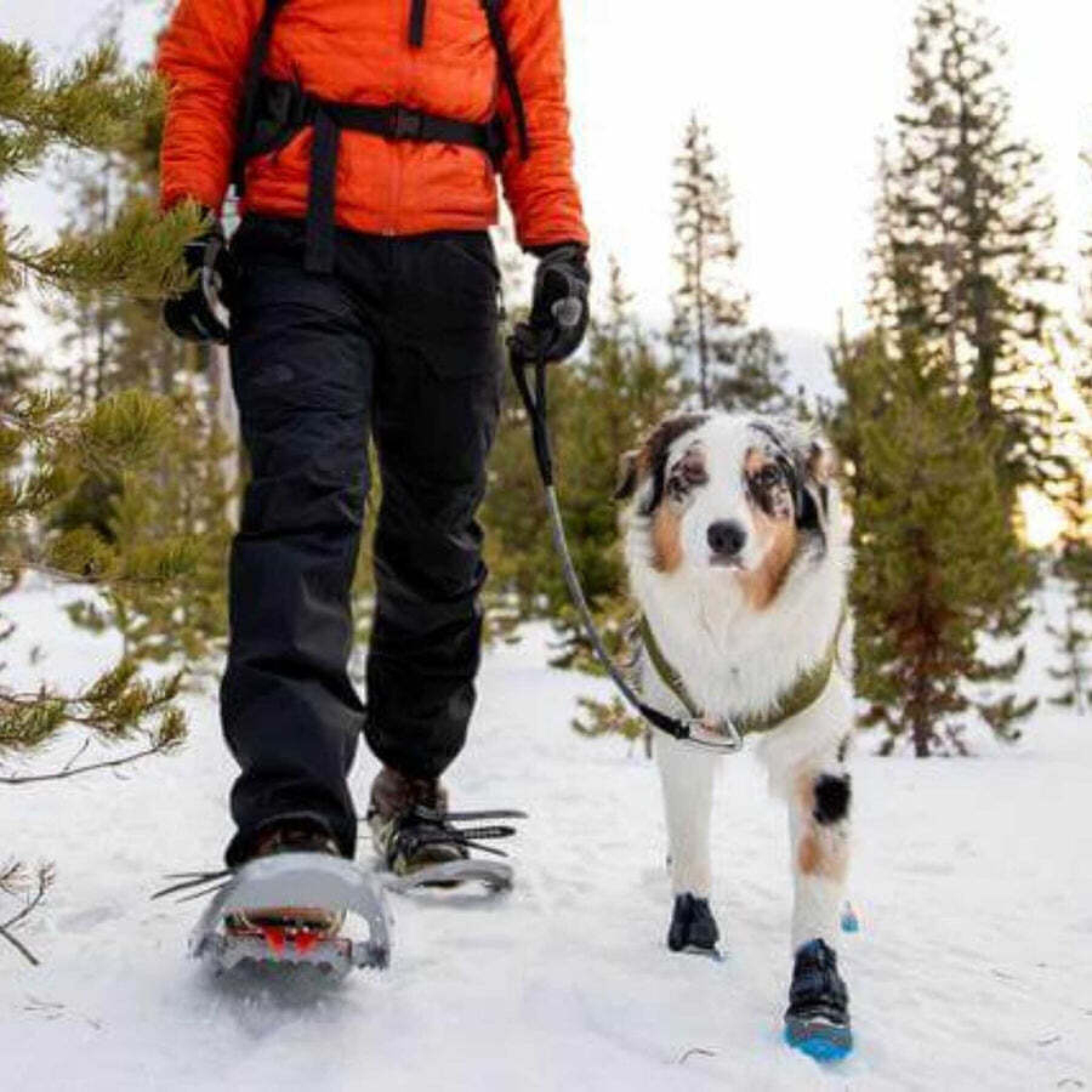 Winter dog shoes Ruffwear Polar Trex