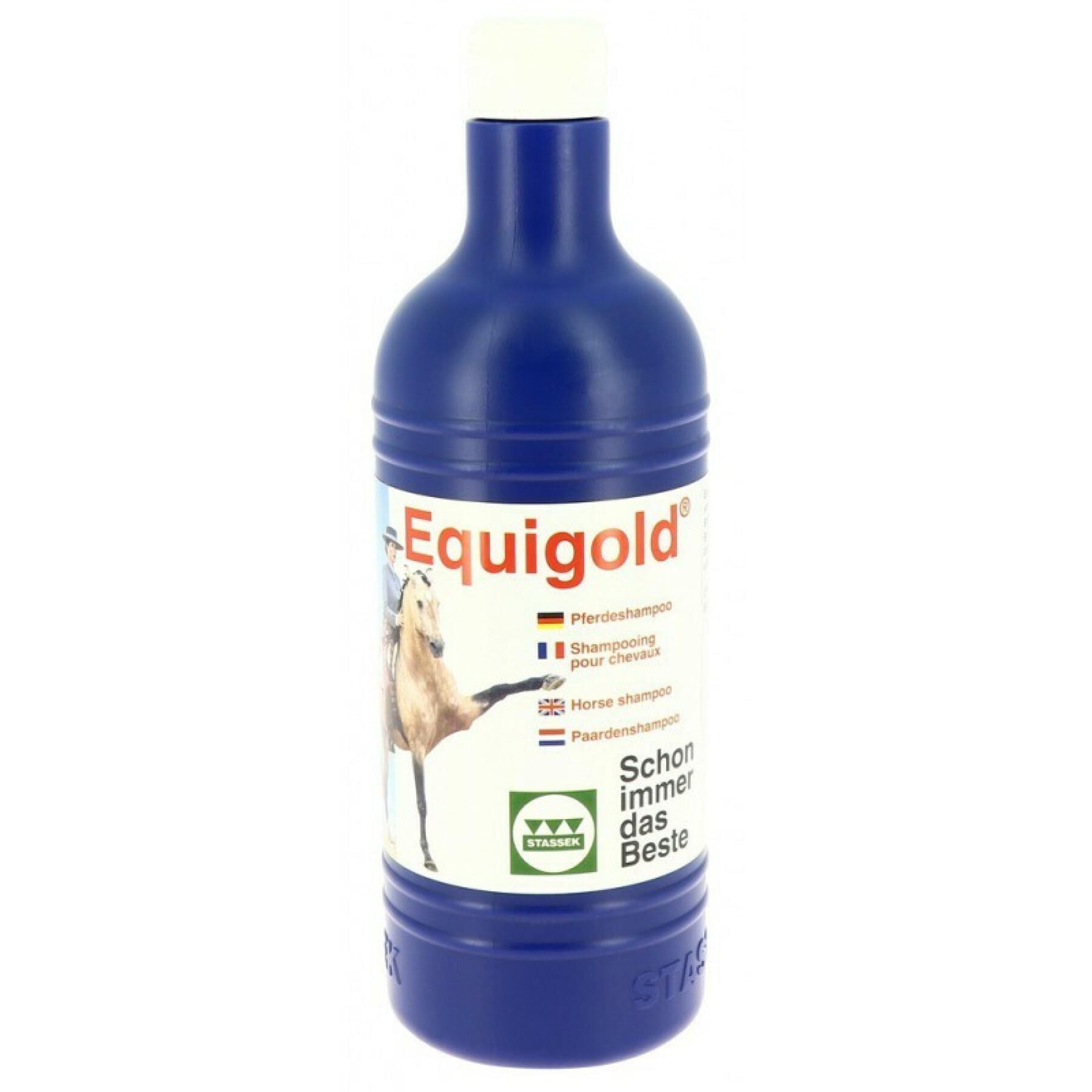 Horse shampoo Stassek Equigold 750 ml