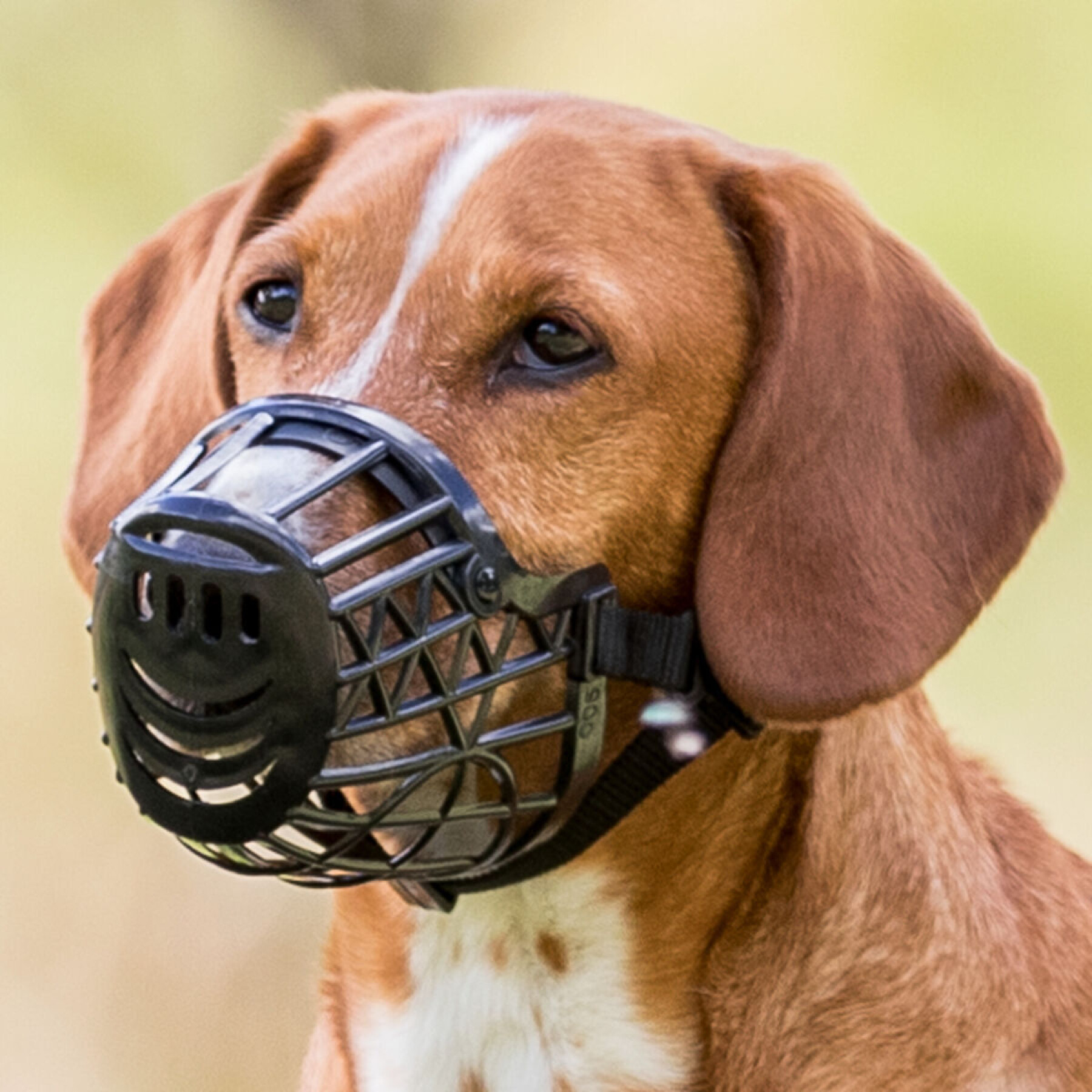 Plastic dog muzzle Trixie (x2)