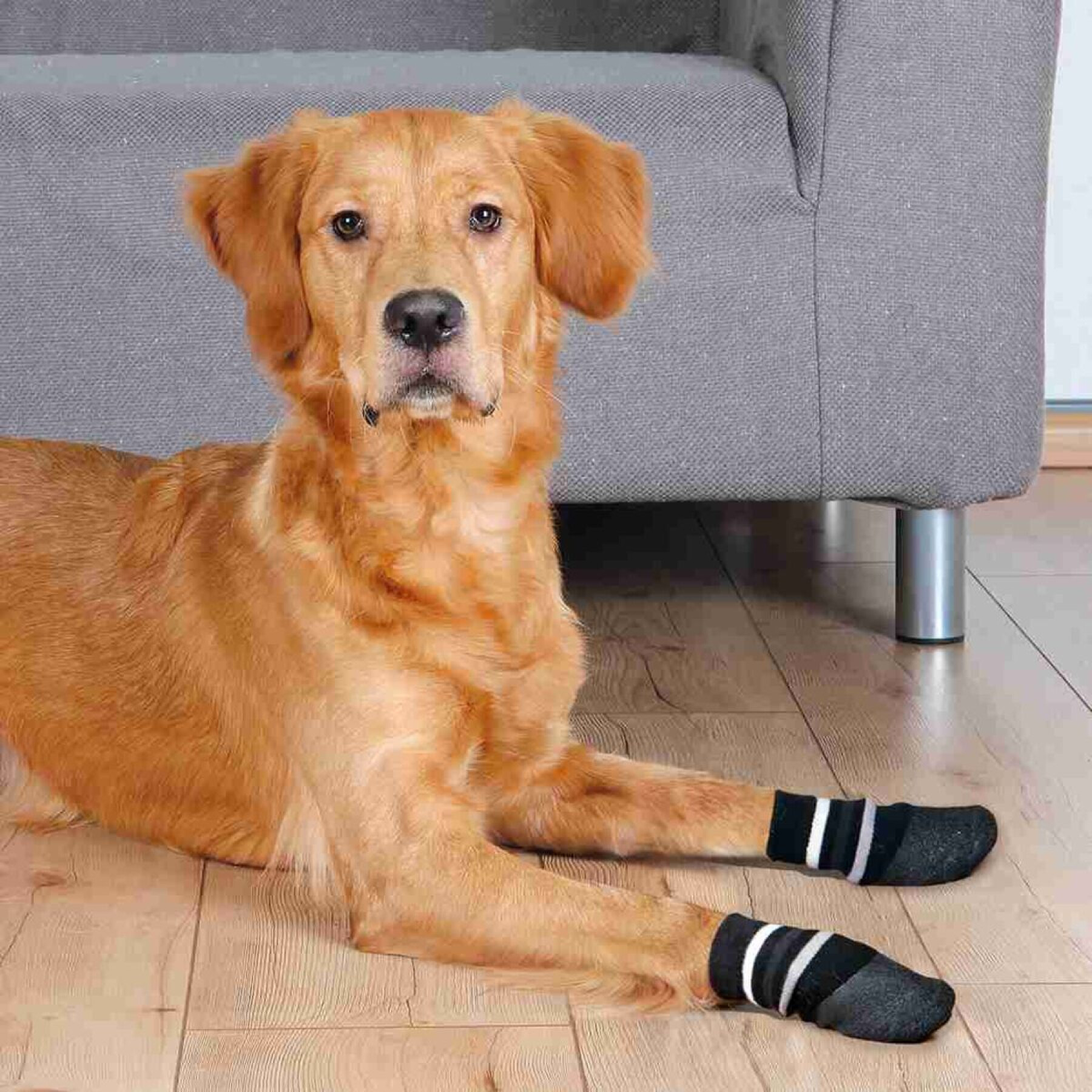 Non-slip dog socks Trixie (x3)