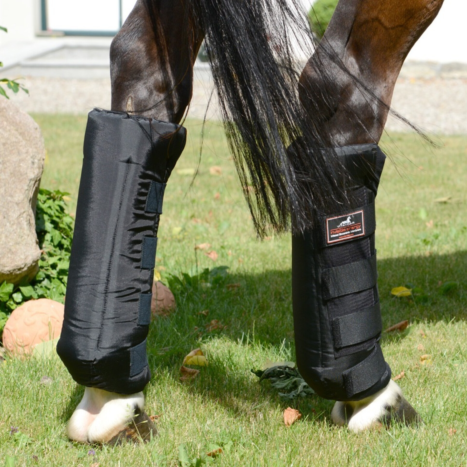 Pair of stable hind boots for classic horses Vitandar