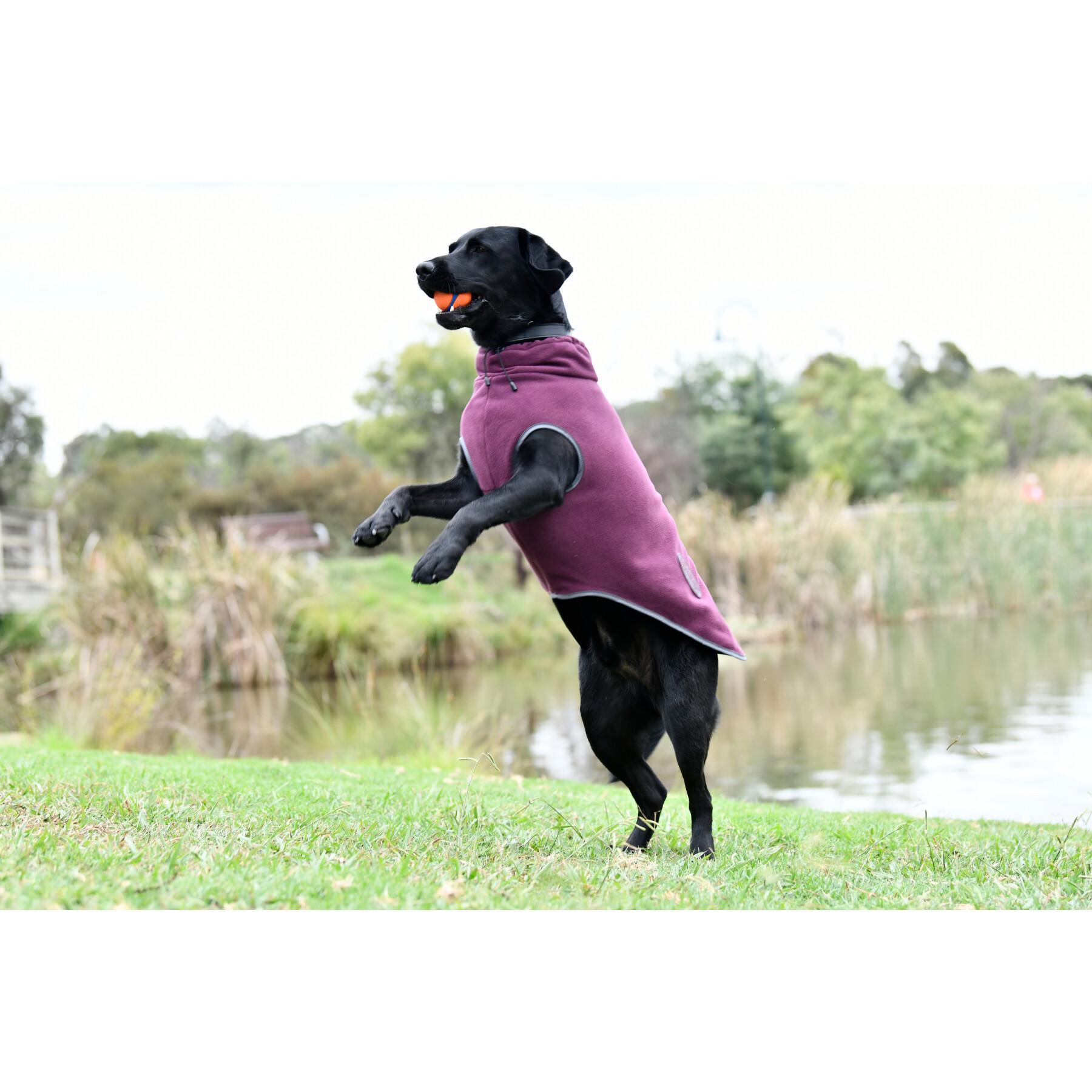 Zipped fleece coat for dogs Weatherbeeta Comfitec