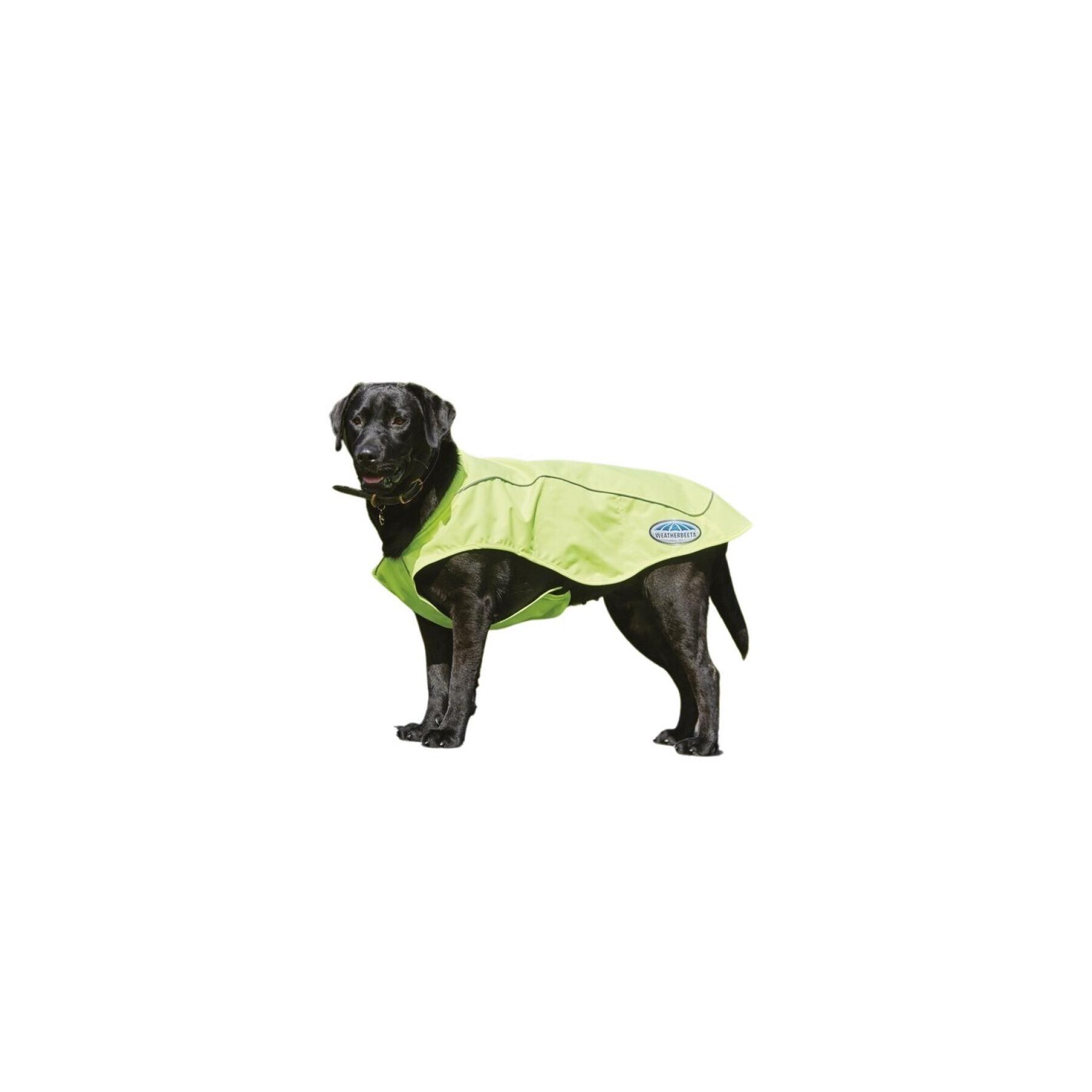 Dog Blanket Weatherbeeta Vision