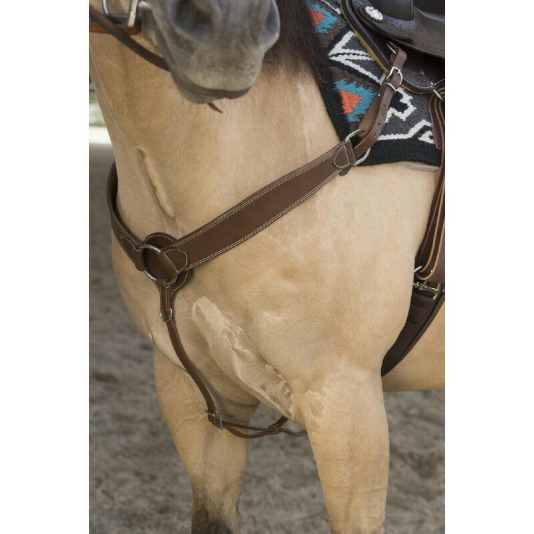 Hunting collar for horse Westride Franck Perret - Hunting collars
