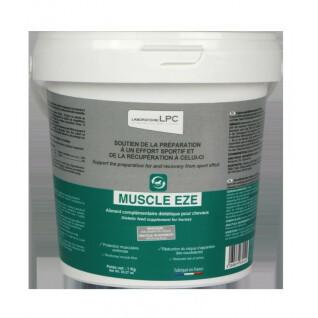 Recovery food supplement for horses LPC Muscle Eze