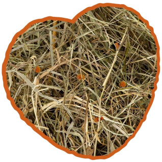 Hay ball for rodents with carrot herbs Duvoplus