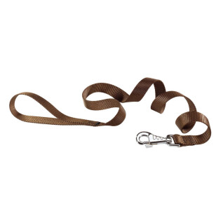 Dog leash Ferplast Club G15/120